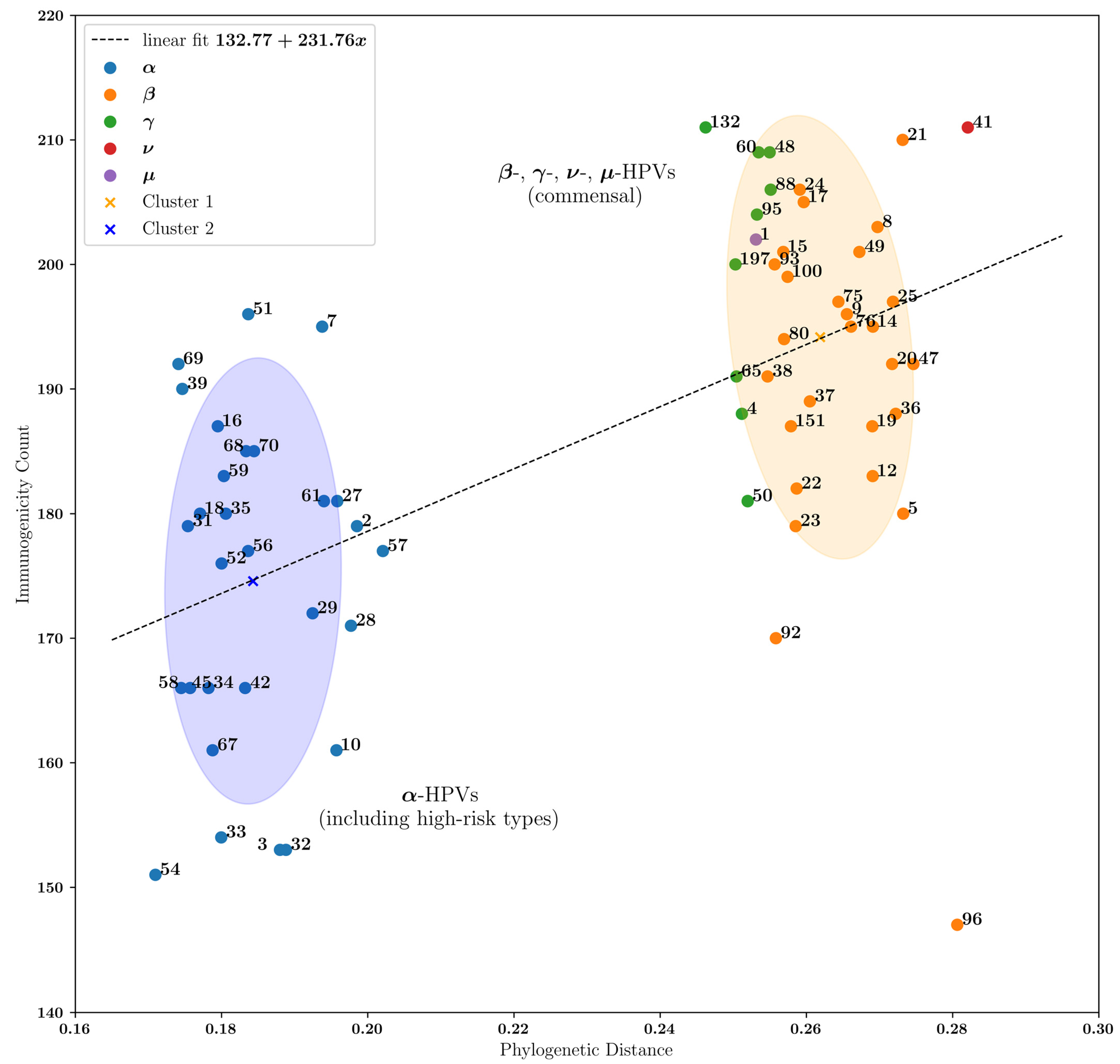 Vaccines 12 00749 g003