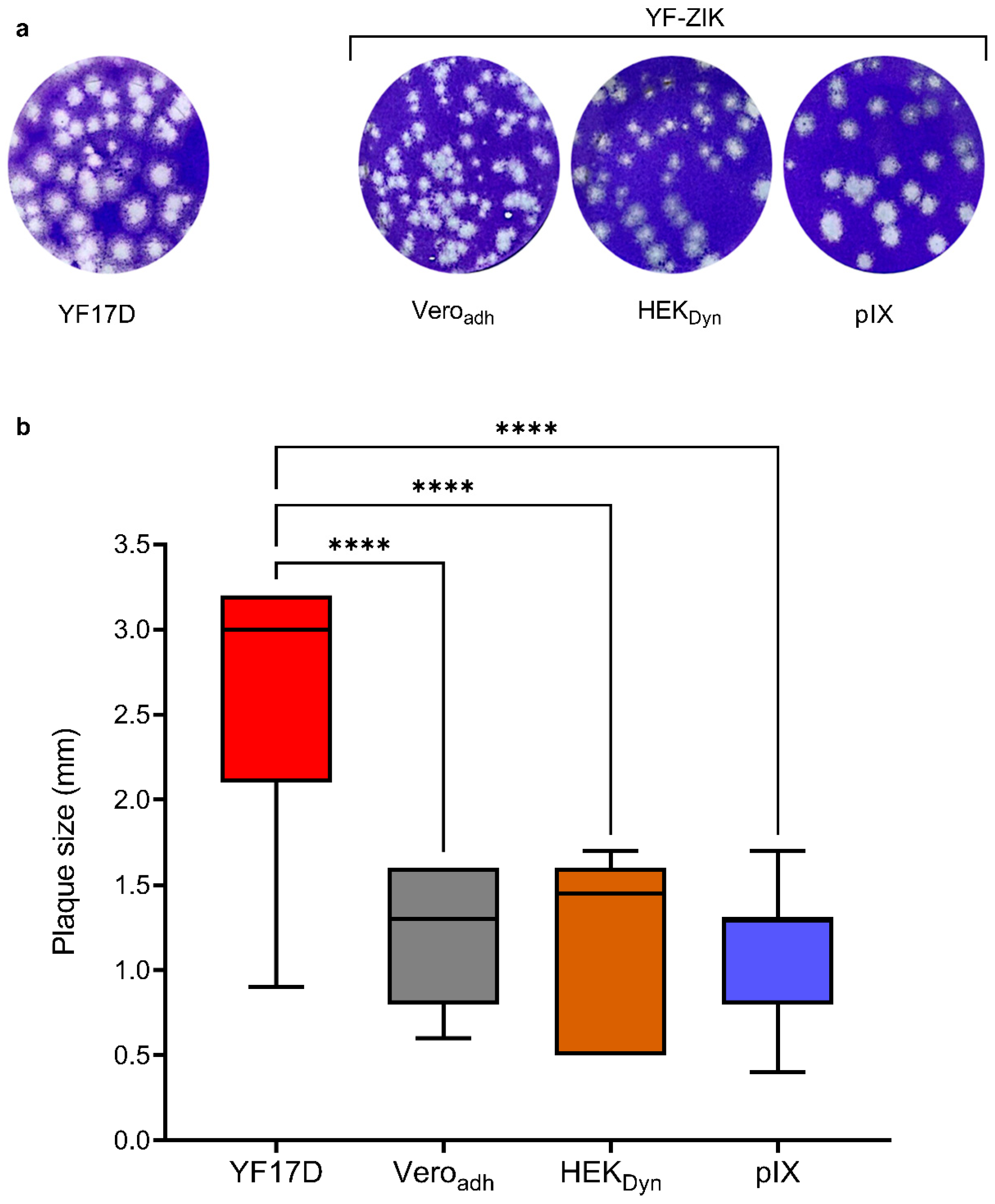 Vaccines 12 00755 g005 Vaccines 12 00755 g005