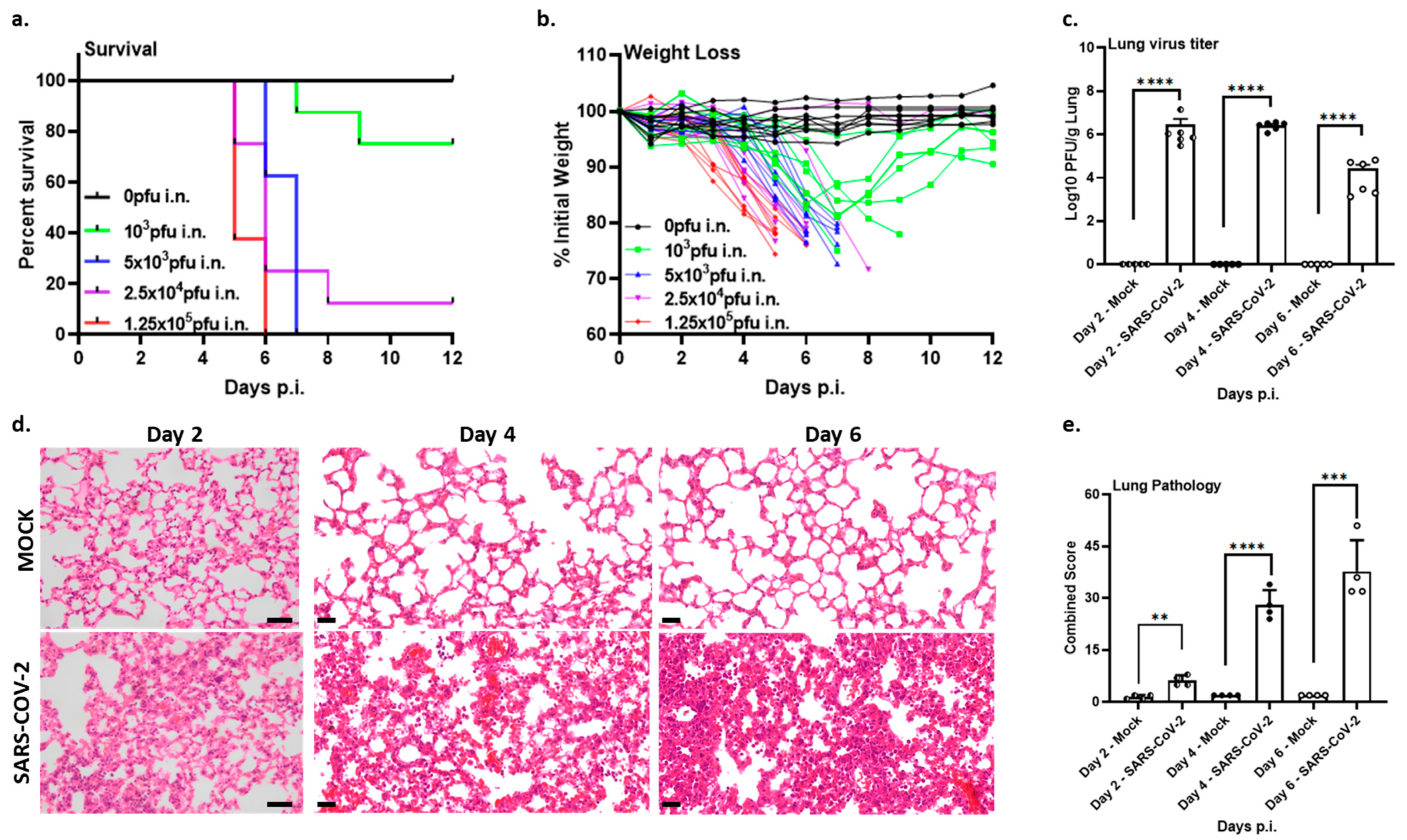 Vaccines 12 00766 g001