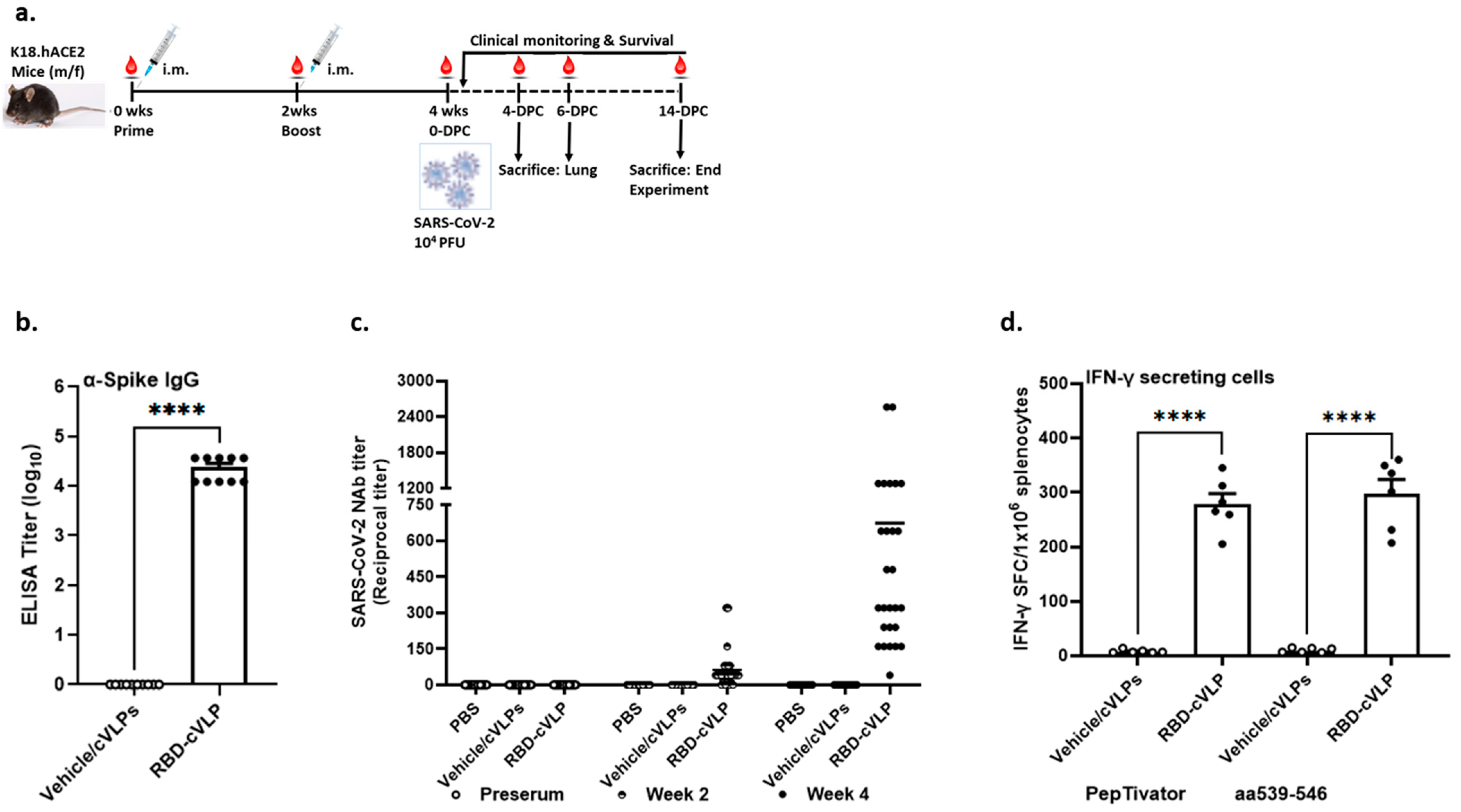 Vaccines 12 00766 g002