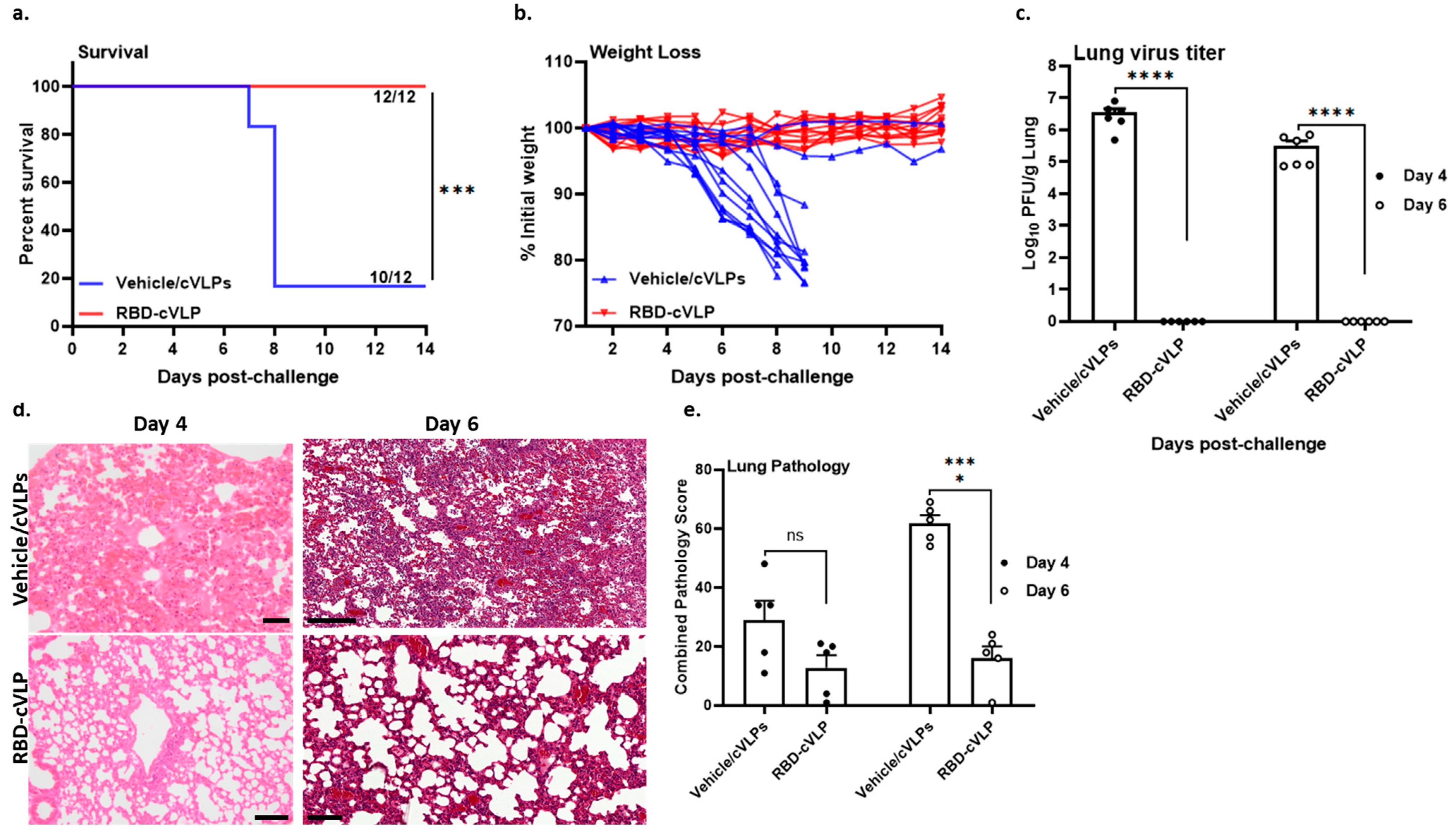 Vaccines 12 00766 g003