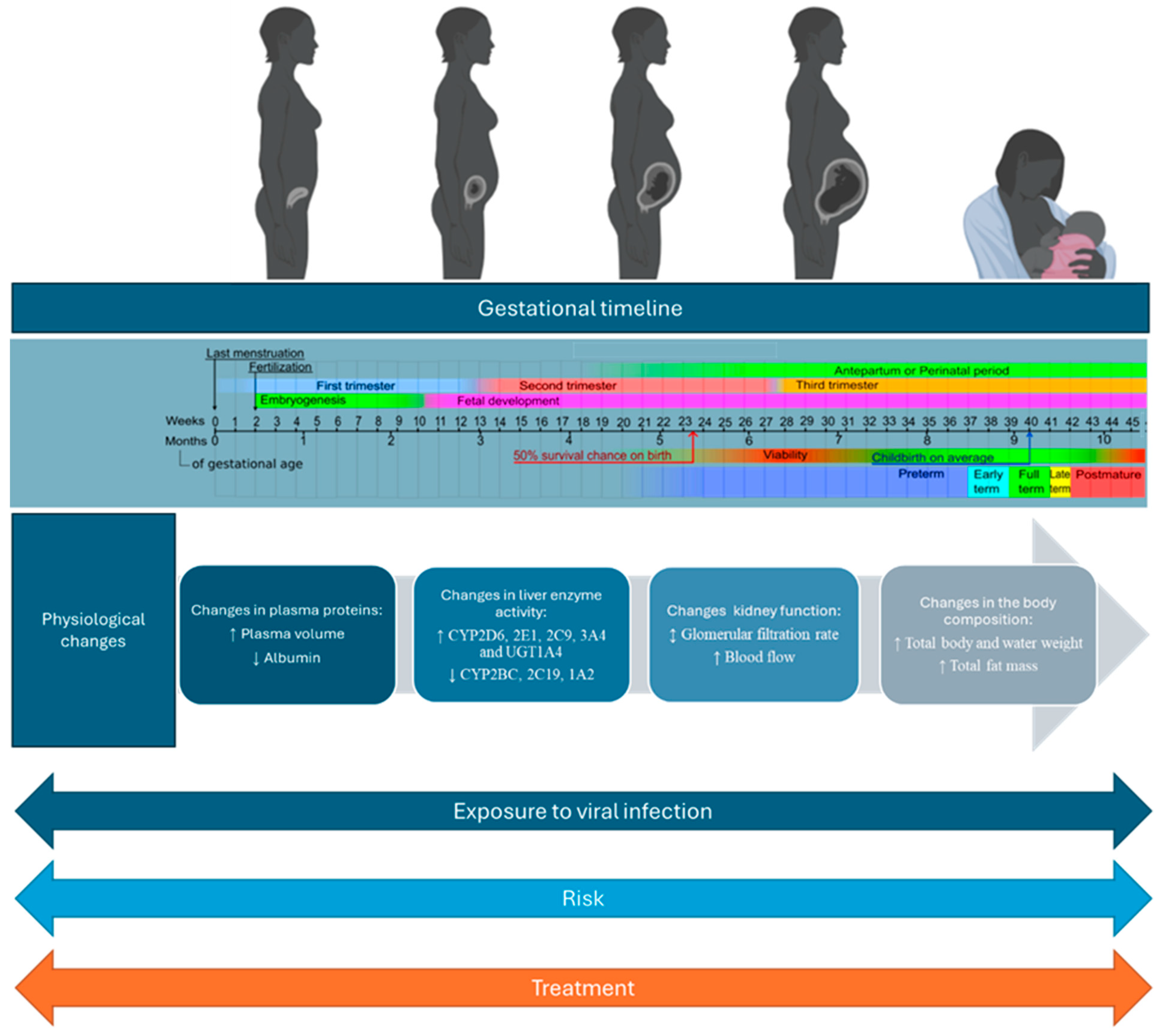 Vaccines 12 00782 g001