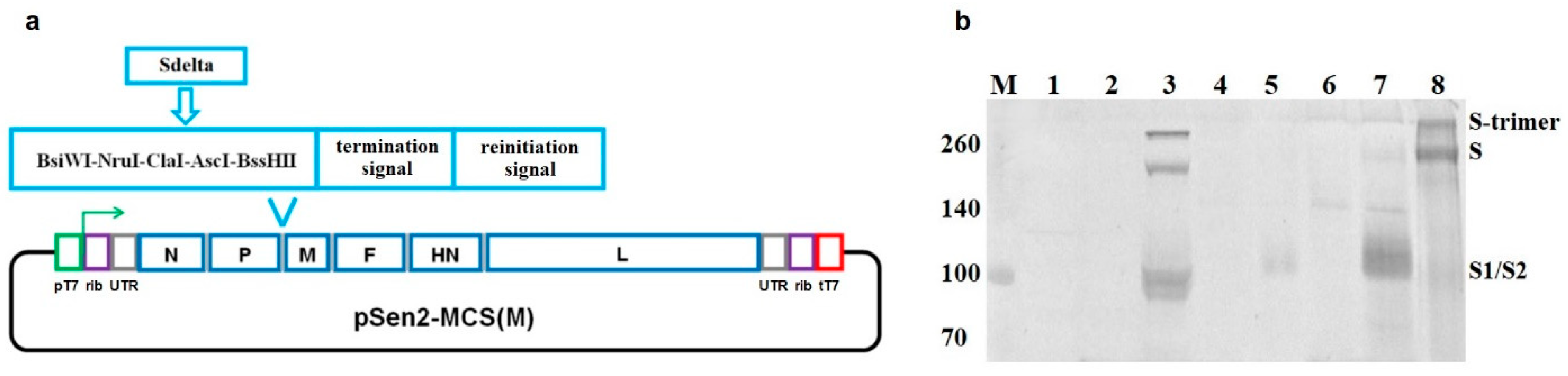 Vaccines 12 00783 g001