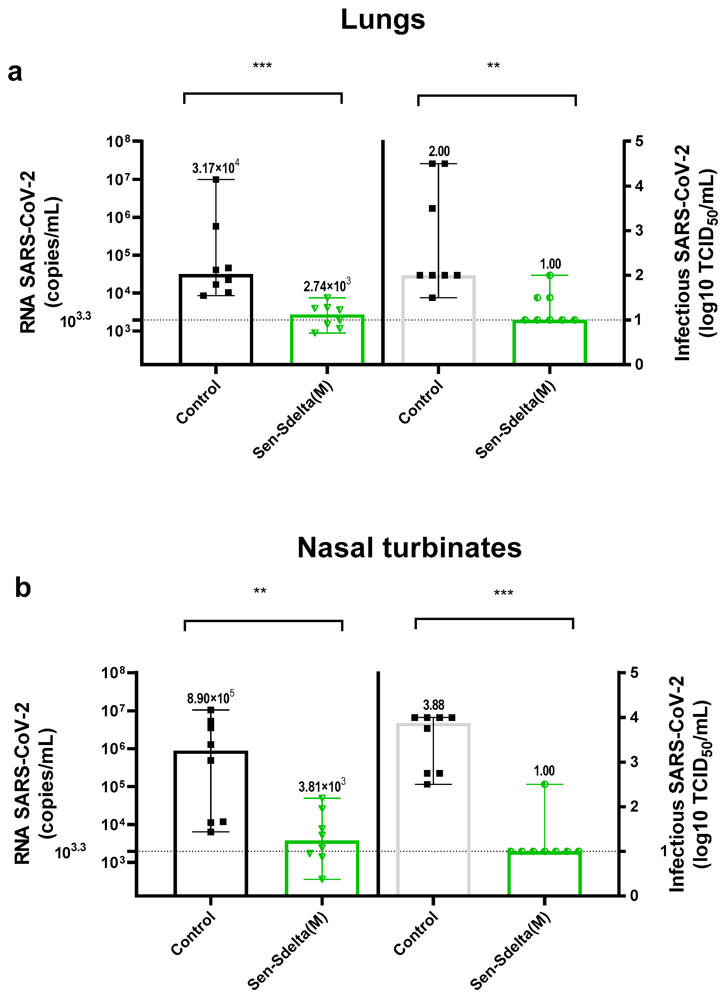 Vaccines 12 00783 g004
