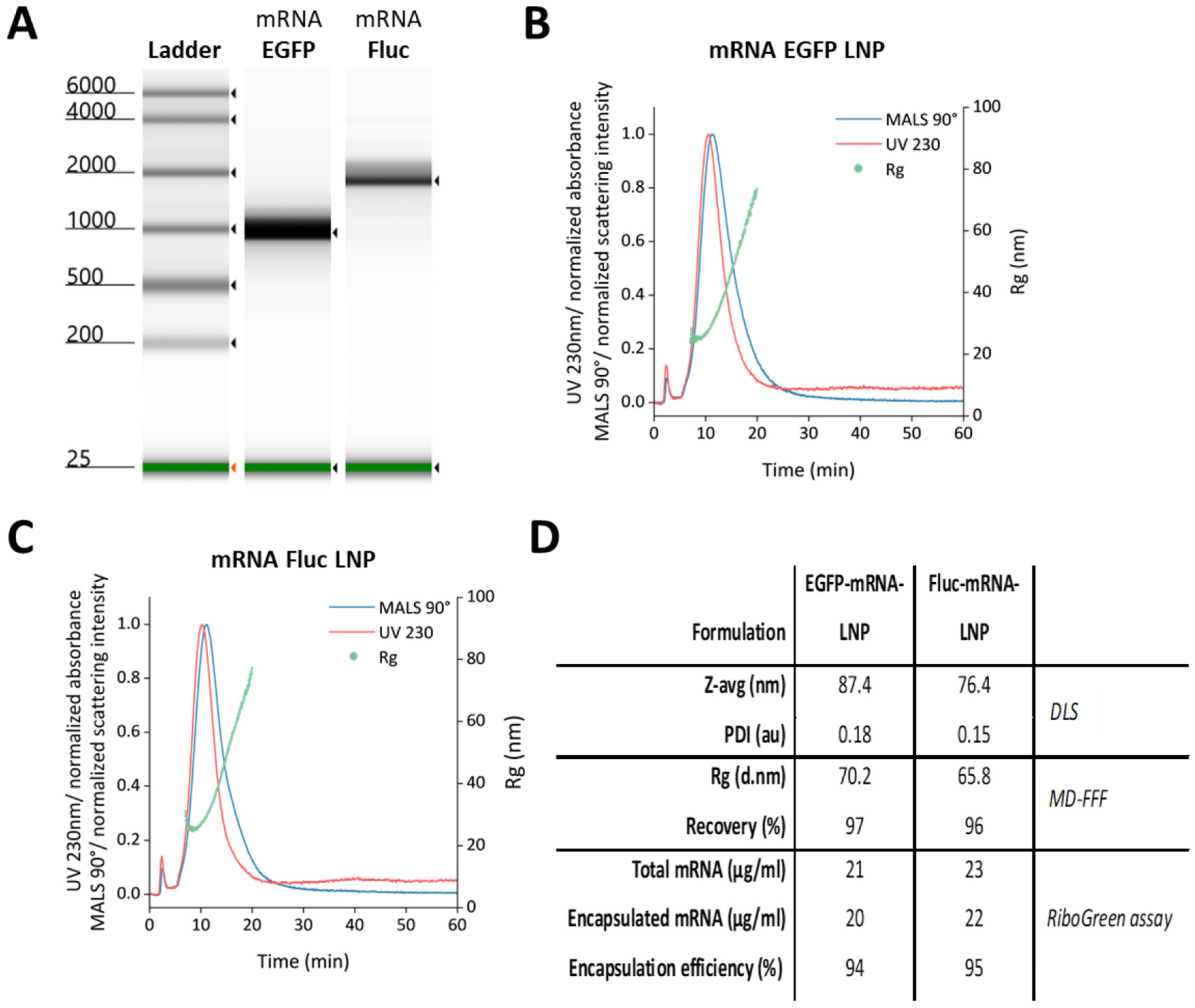 Vaccines 12 00788 g002
