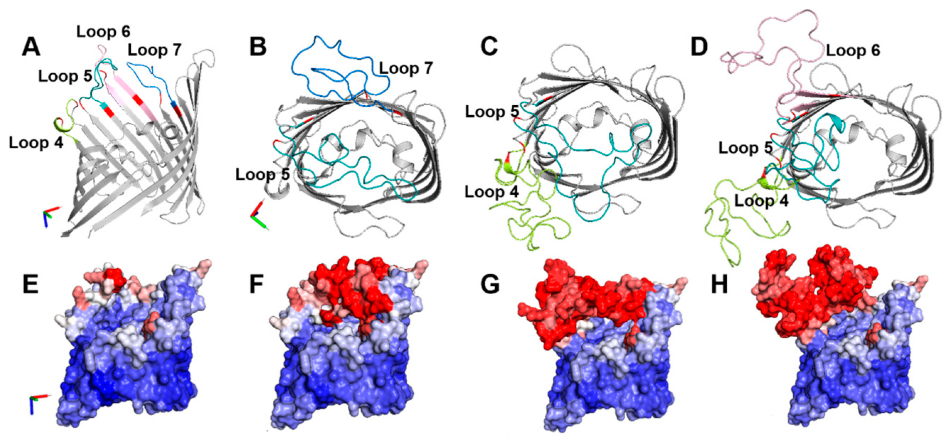 Vaccines 12 00789 g002