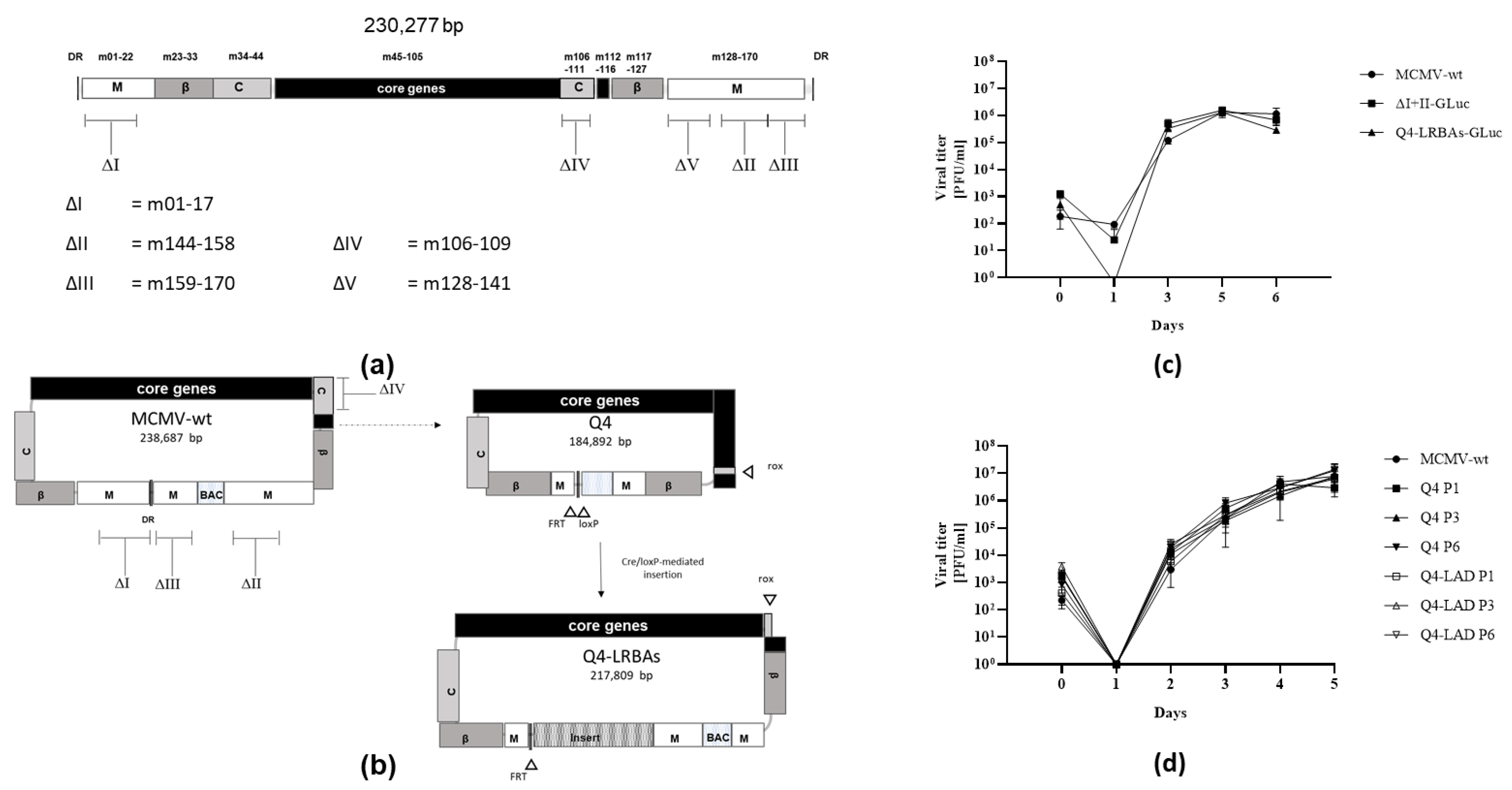Vaccines 12 00791 g001 Vaccines 12 00791 g001