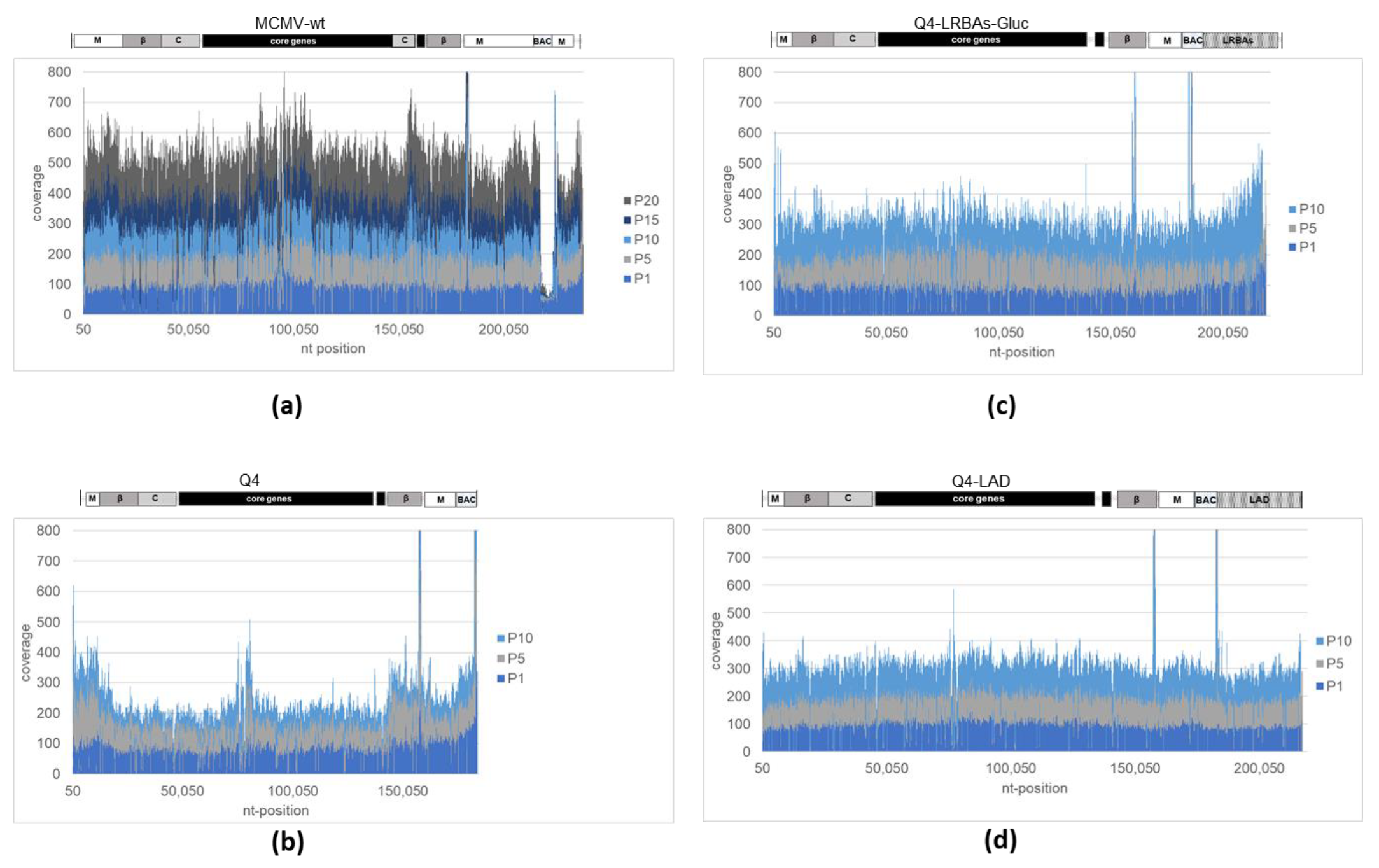 Vaccines 12 00791 g003 Vaccines 12 00791 g003