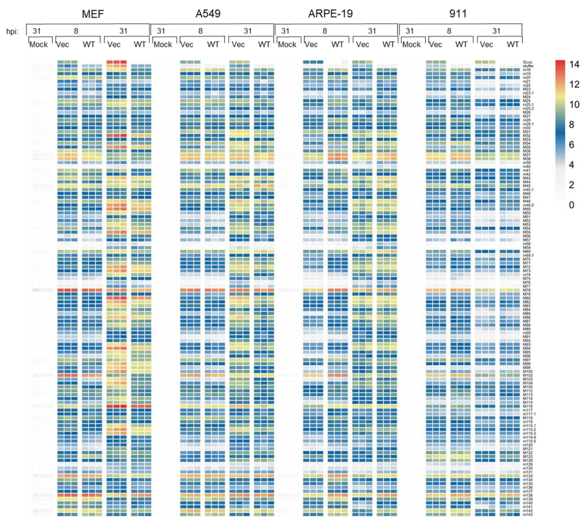 Vaccines 12 00791 g006 Vaccines 12 00791 g006