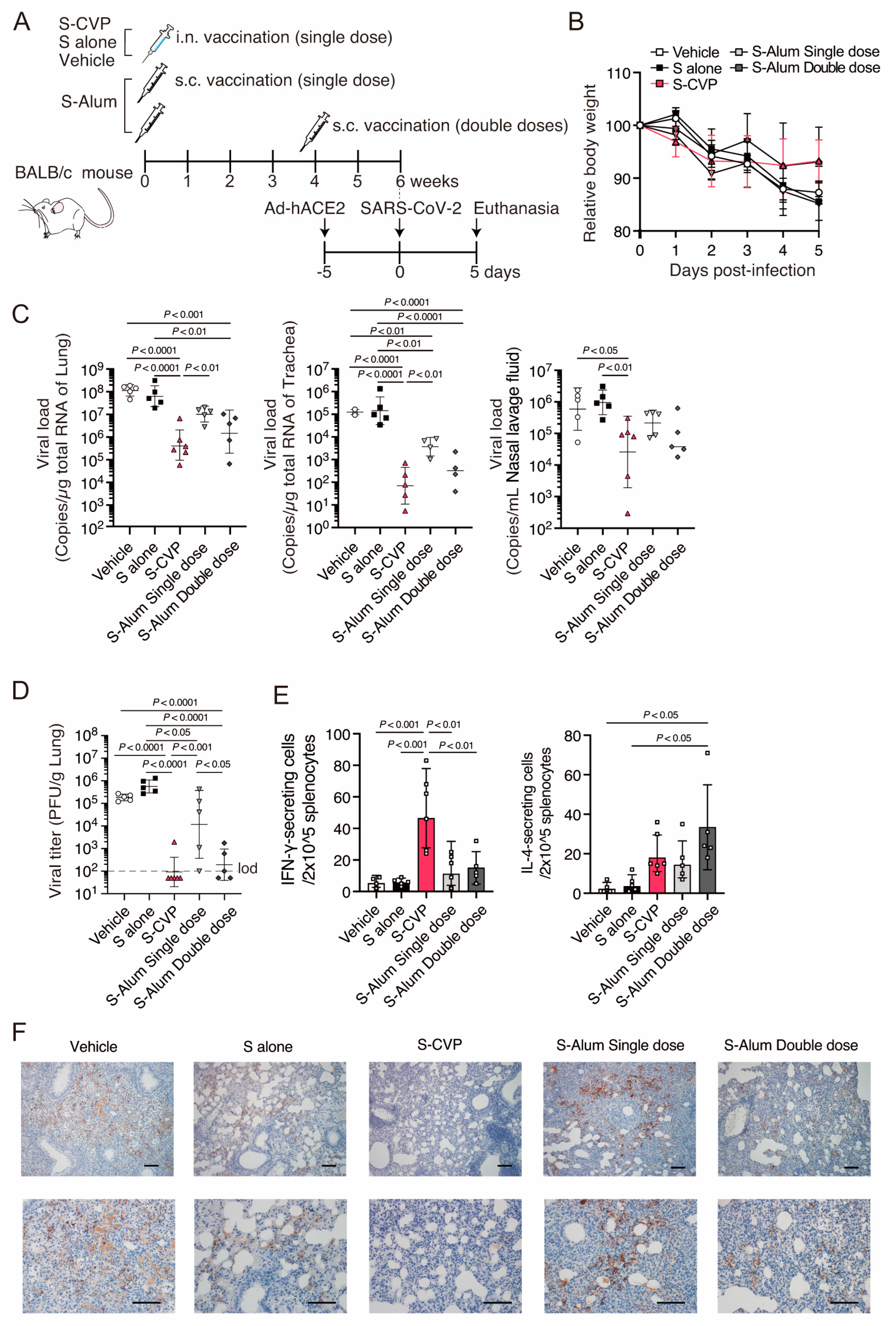 Vaccines 12 00794 g002