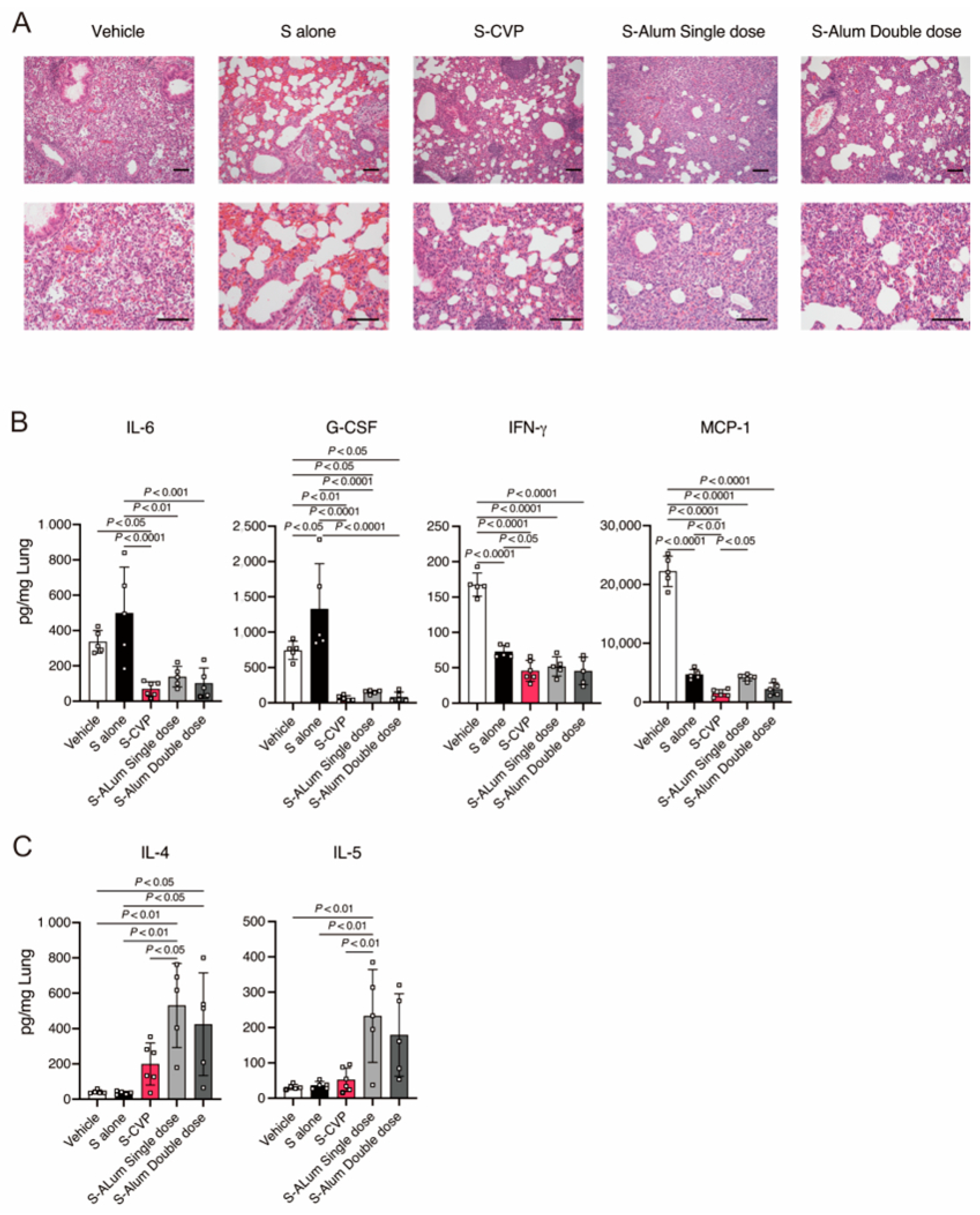 Vaccines 12 00794 g003