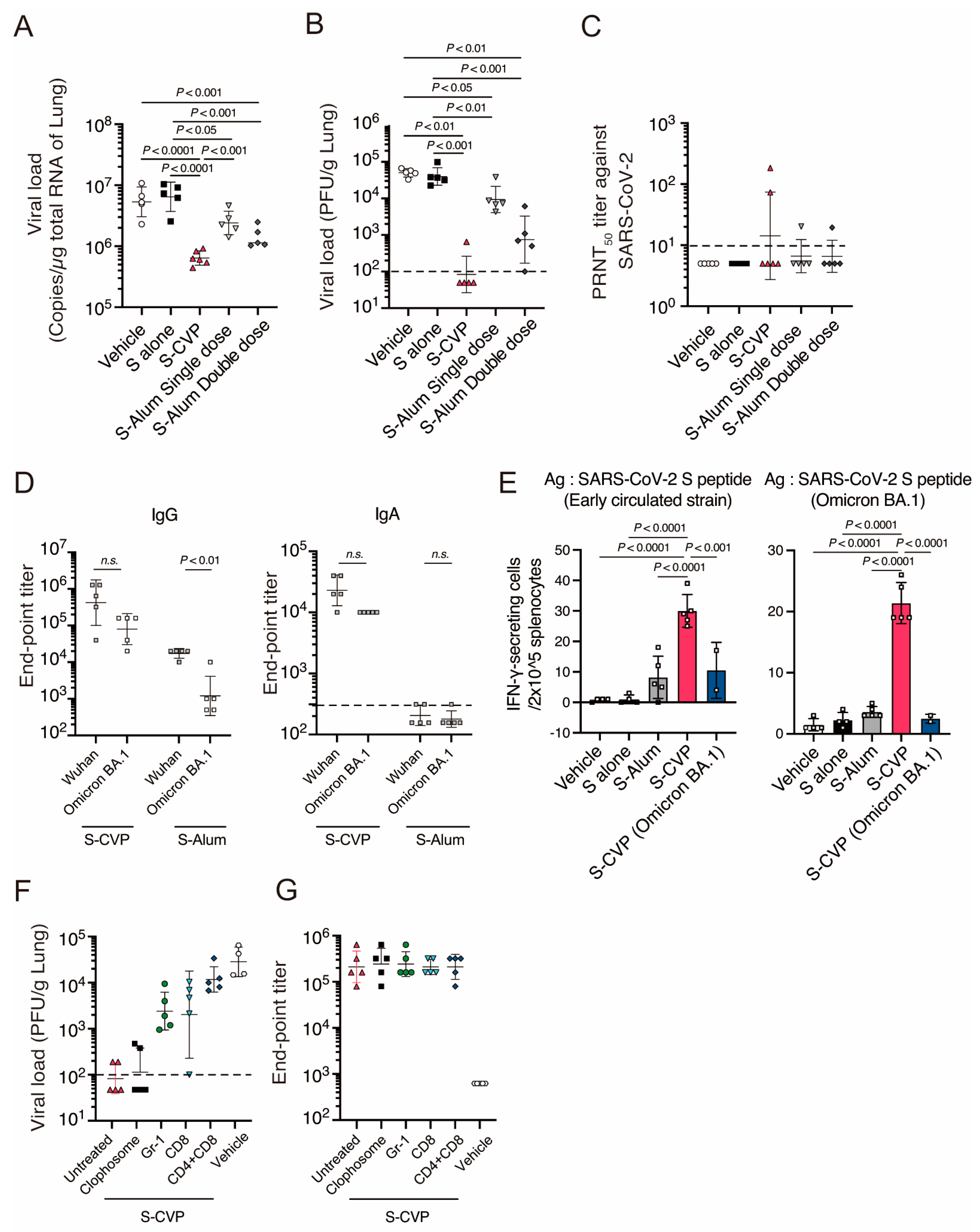 Vaccines 12 00794 g004