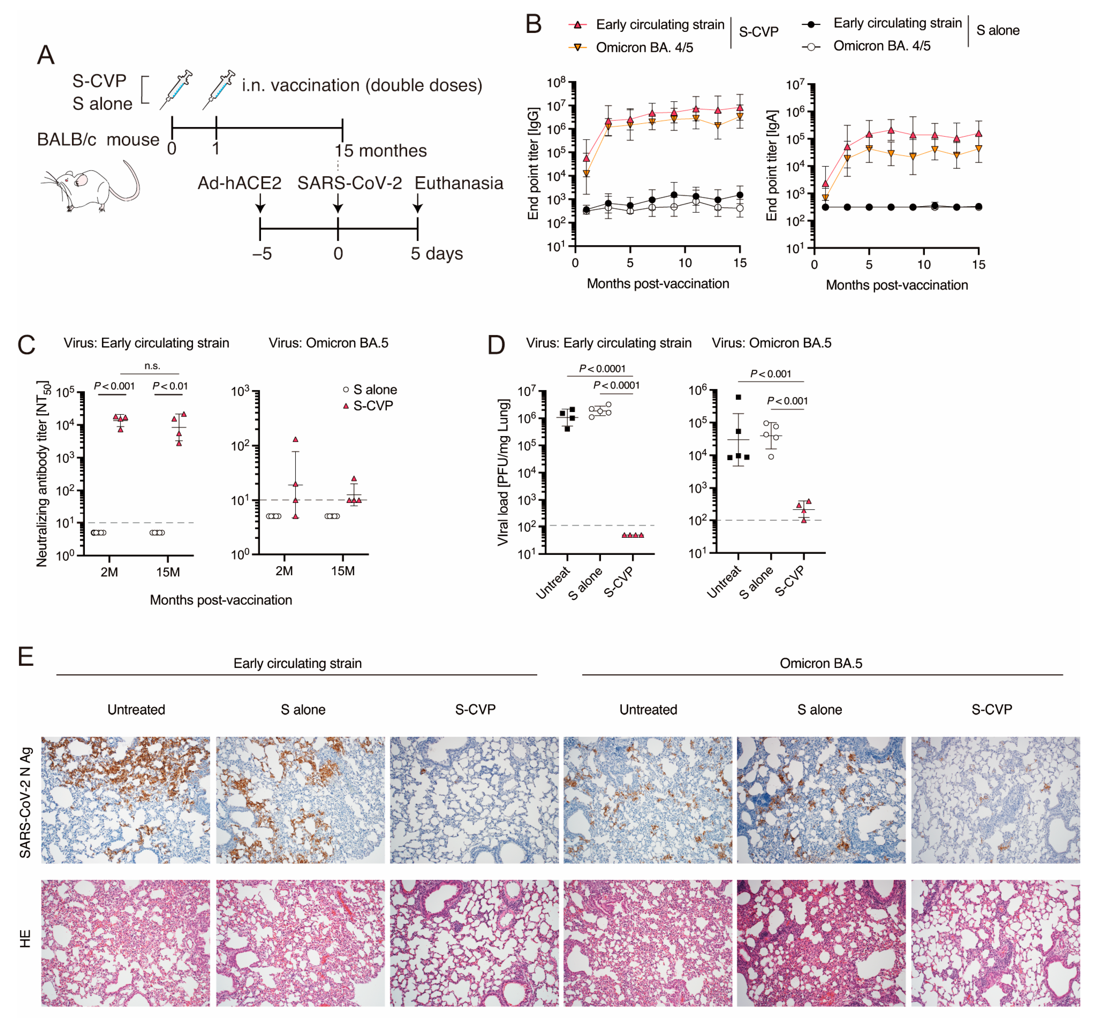 Vaccines 12 00794 g005