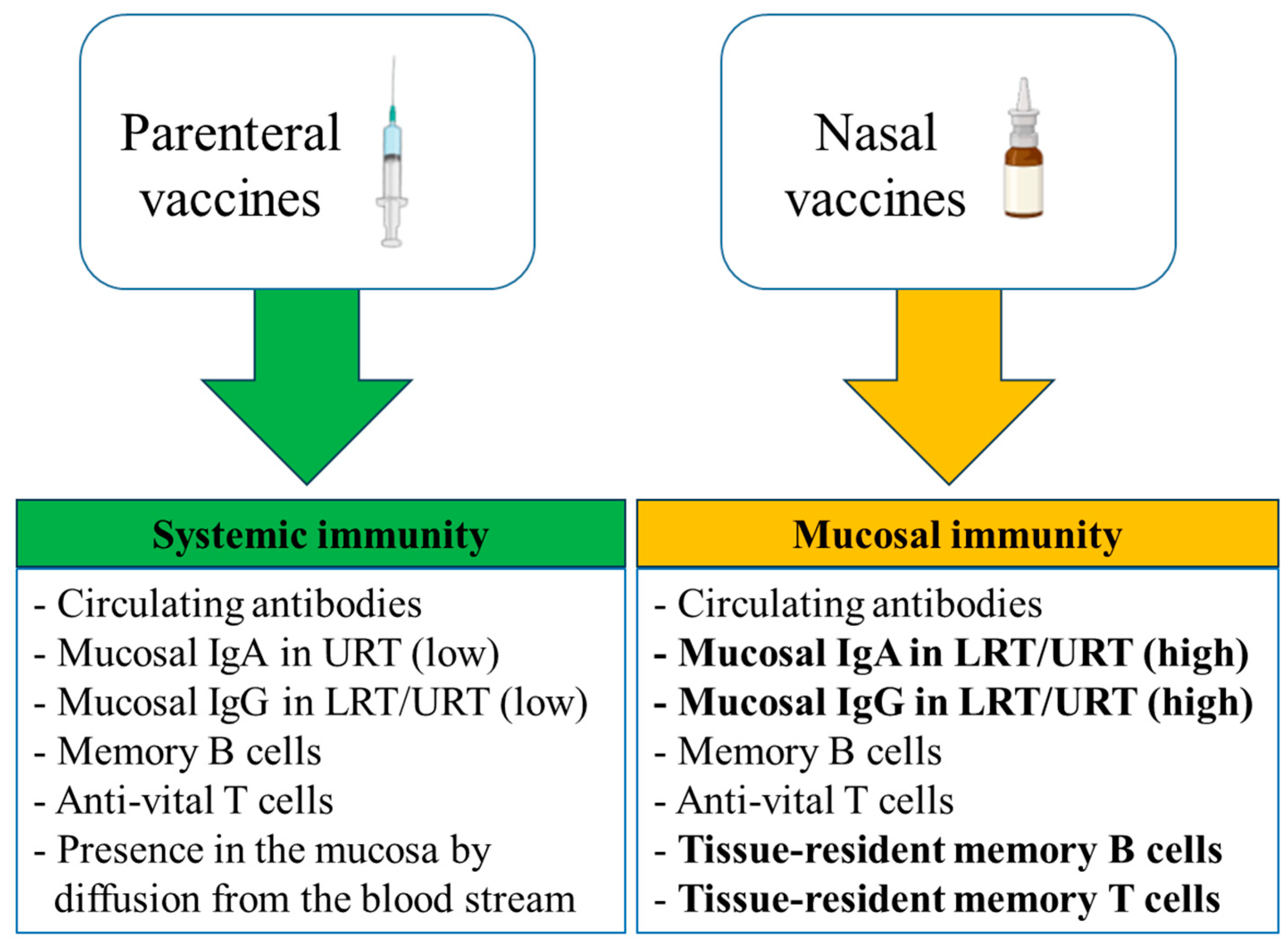 Vaccines 12 00795 g001