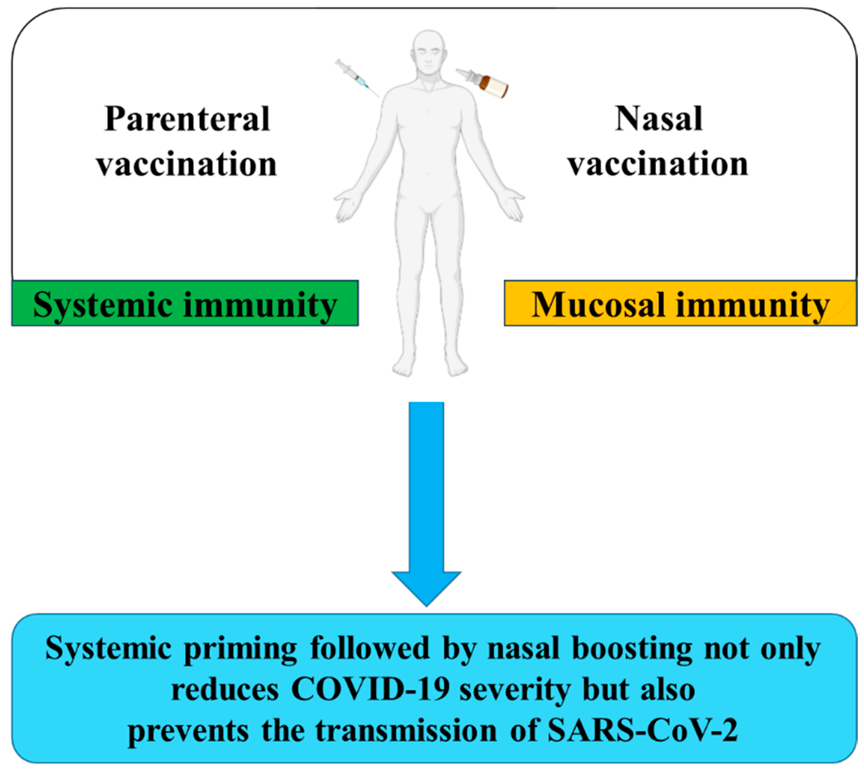 Vaccines 12 00795 g002