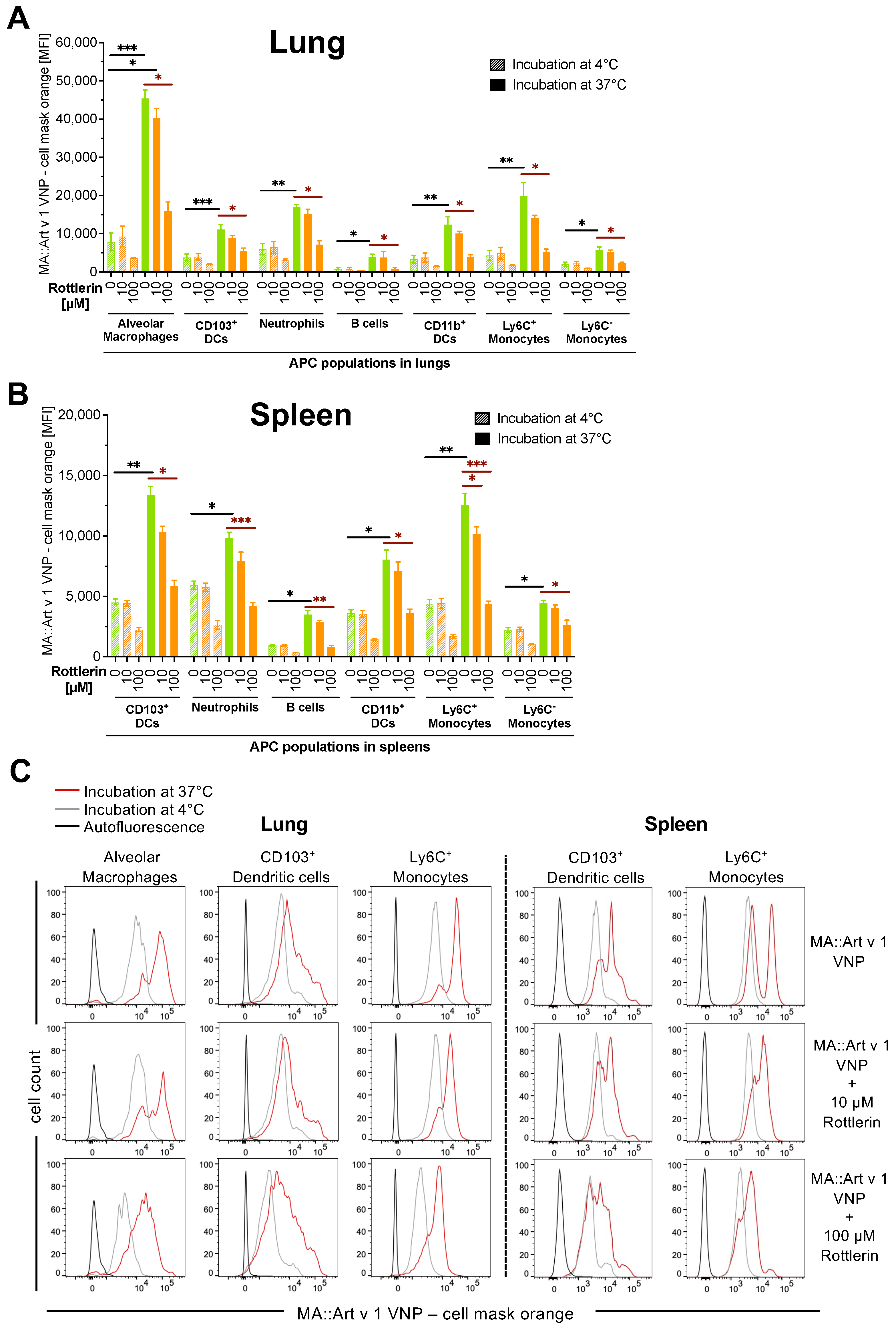 Vaccines 12 00797 g002