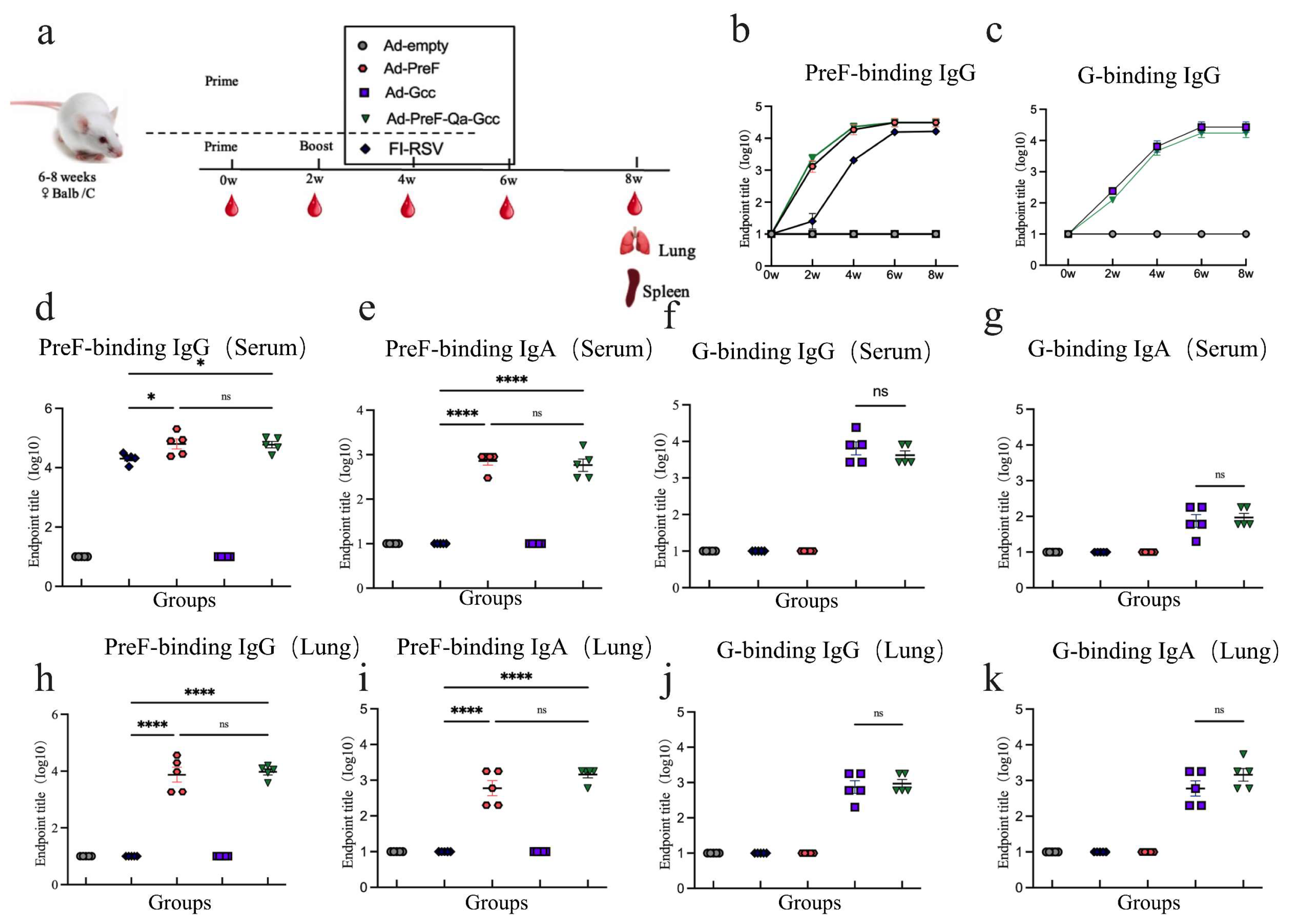 Vaccines 12 00807 g002