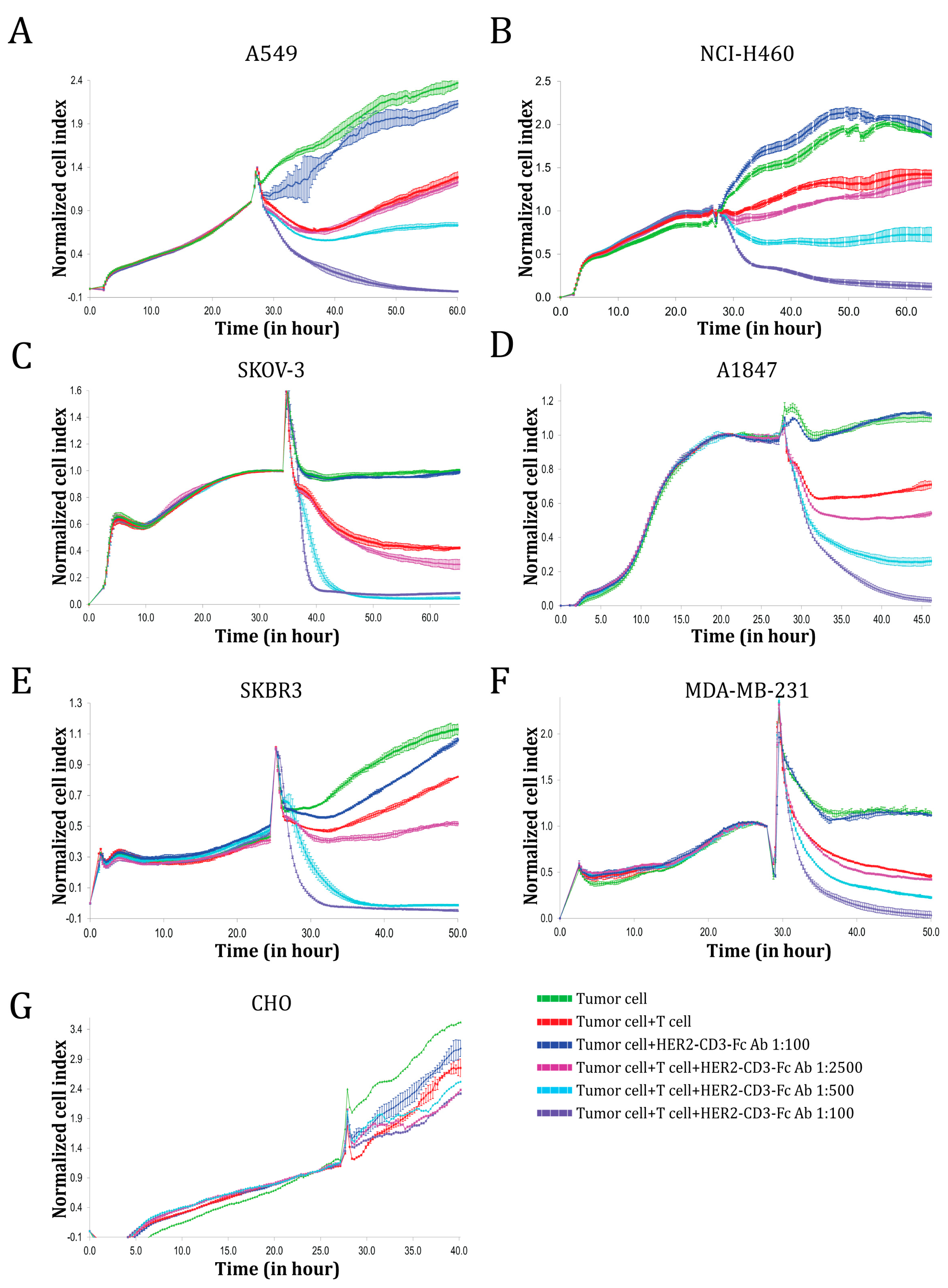 Vaccines 12 00808 g002