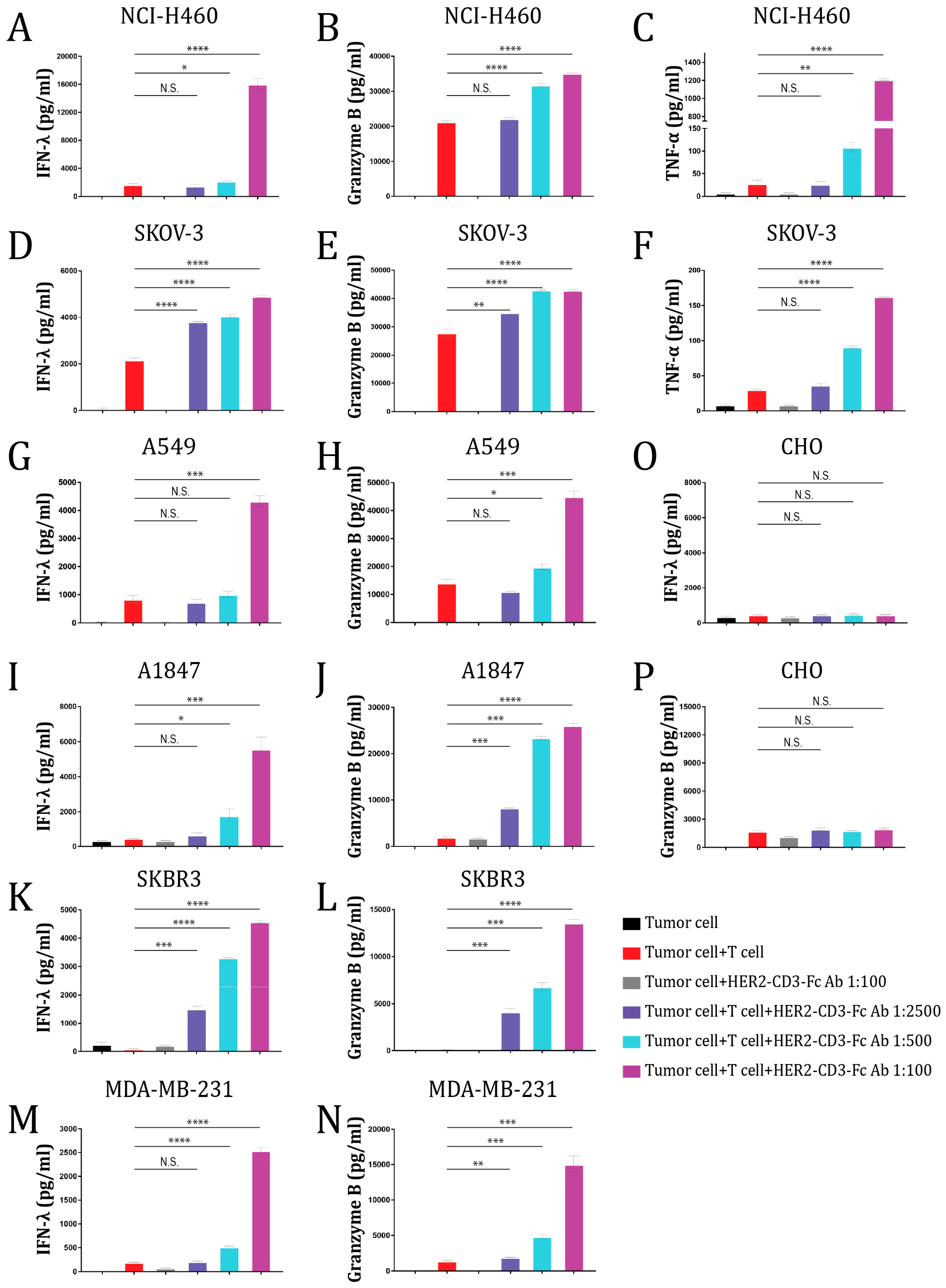 Vaccines 12 00808 g003