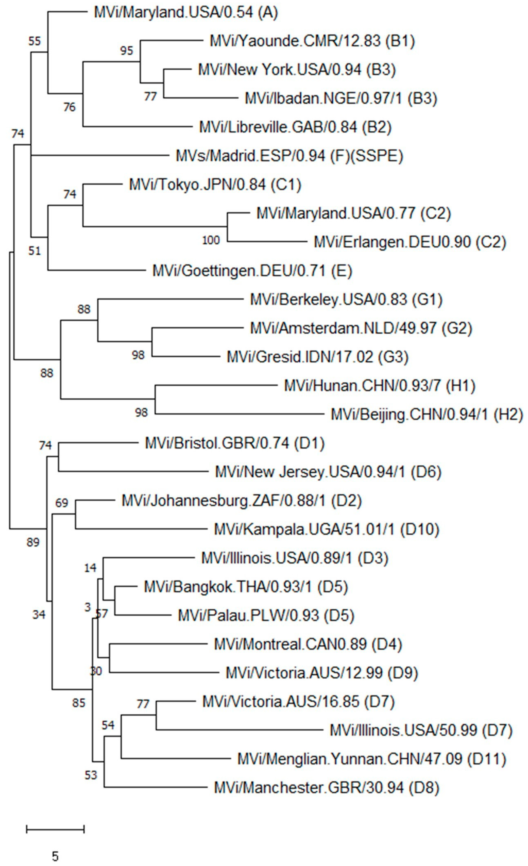Vaccines 12 00810 g001