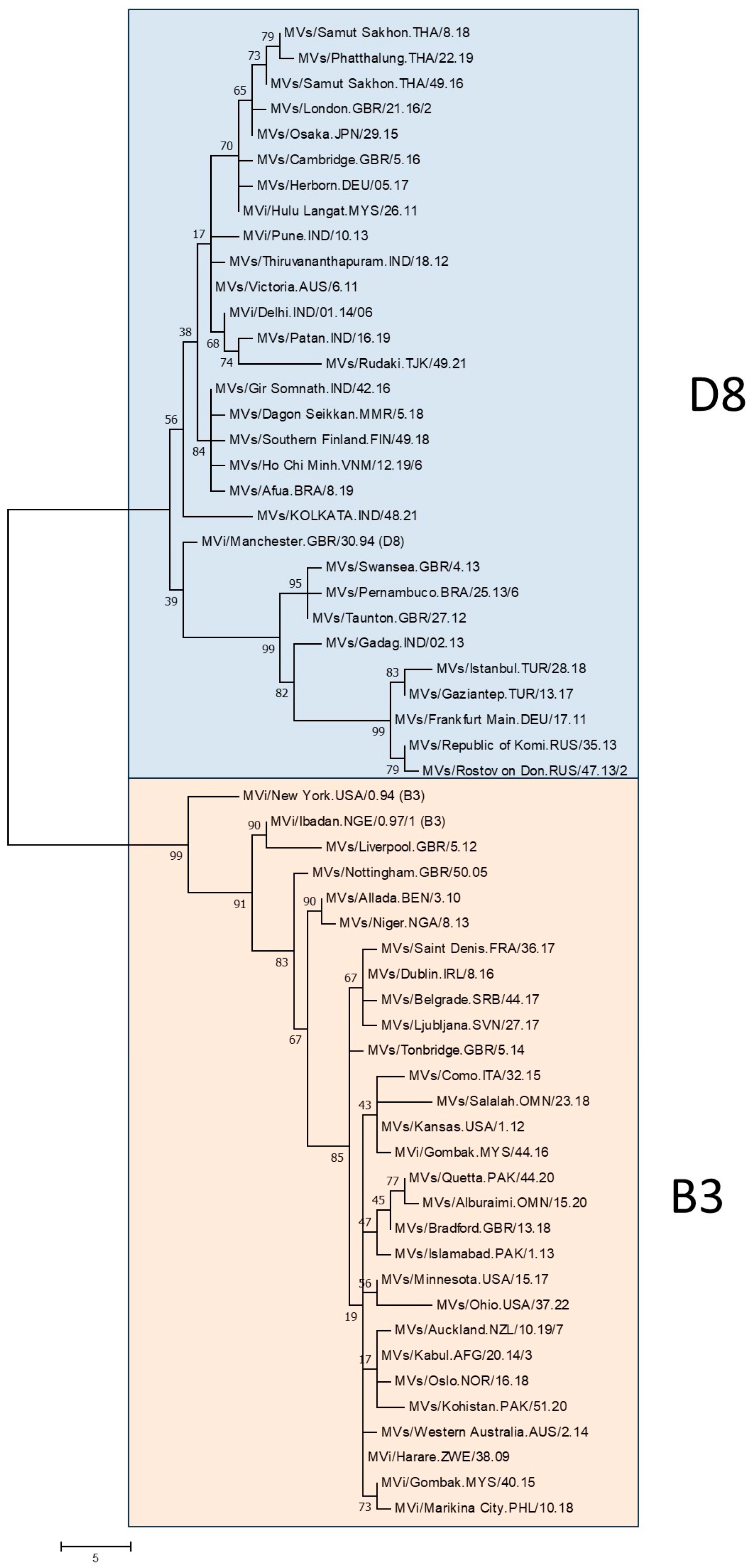 Vaccines 12 00810 g005