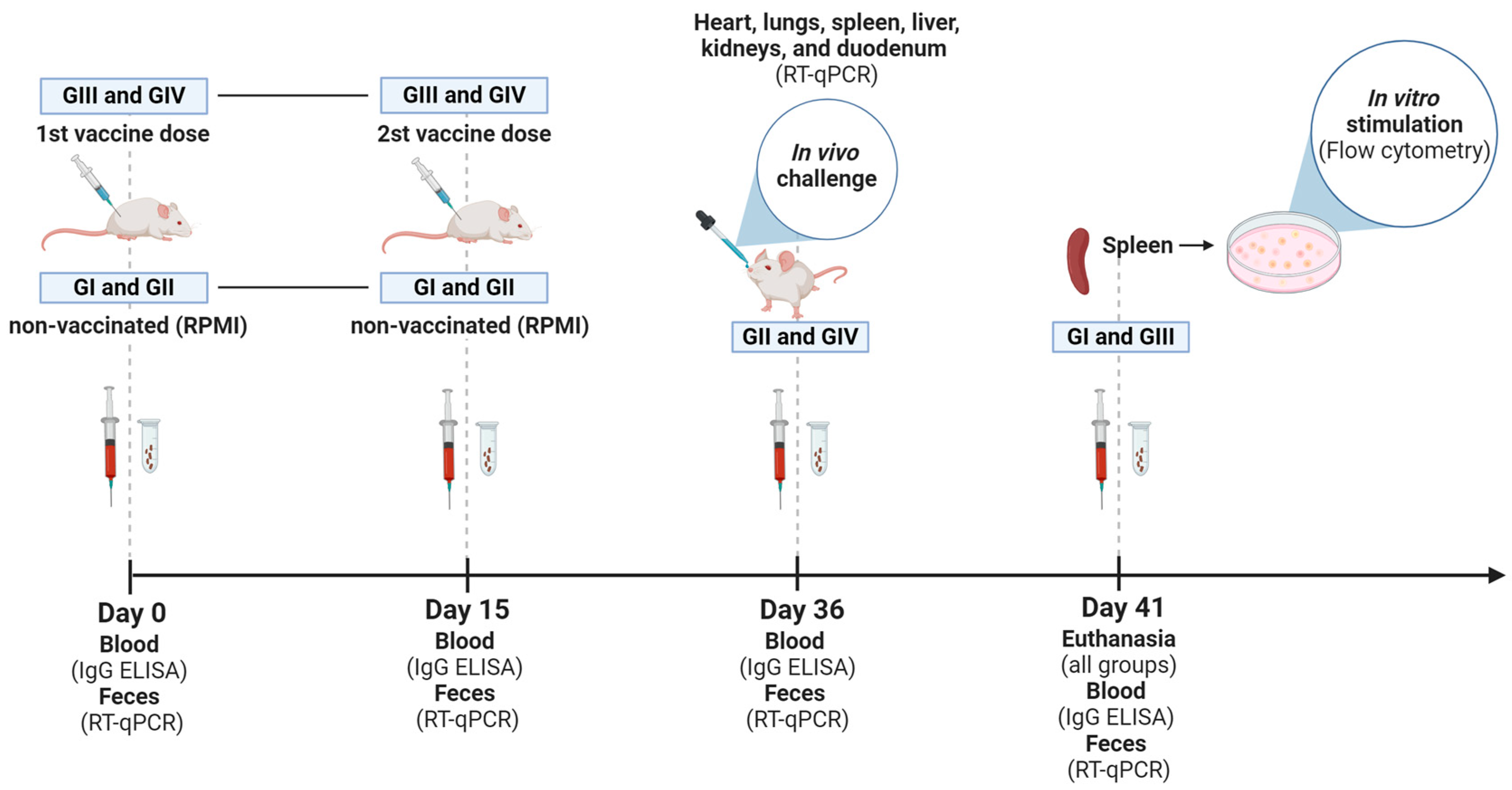 Vaccines 12 00845 g001