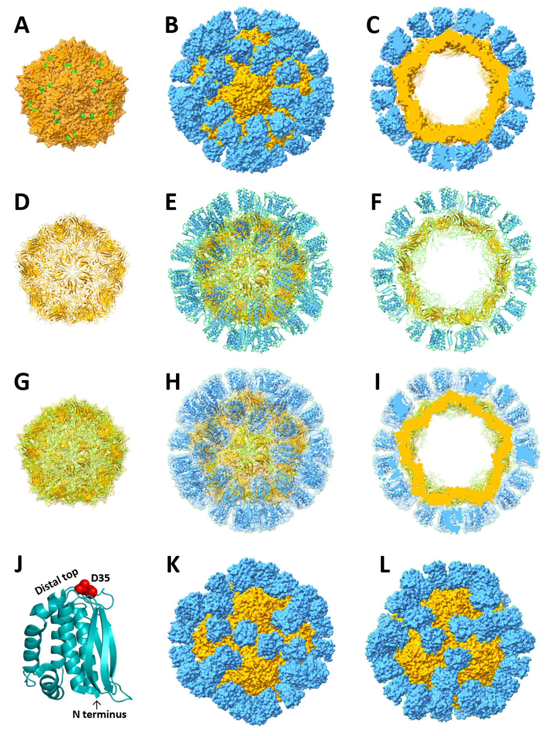 Vaccines 12 00846 g002
