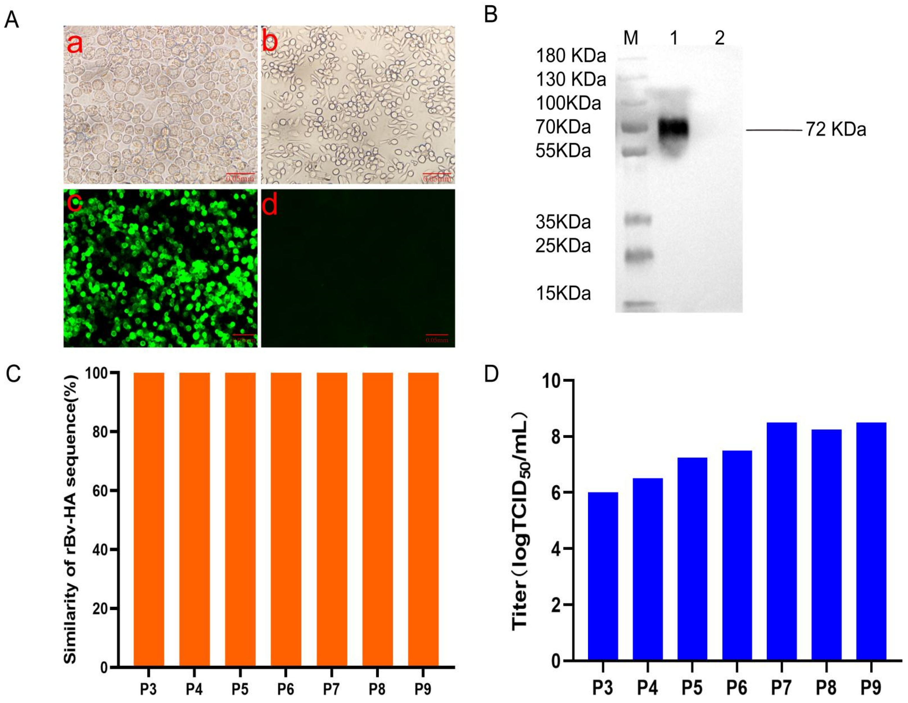 Vaccines 12 00849 g001