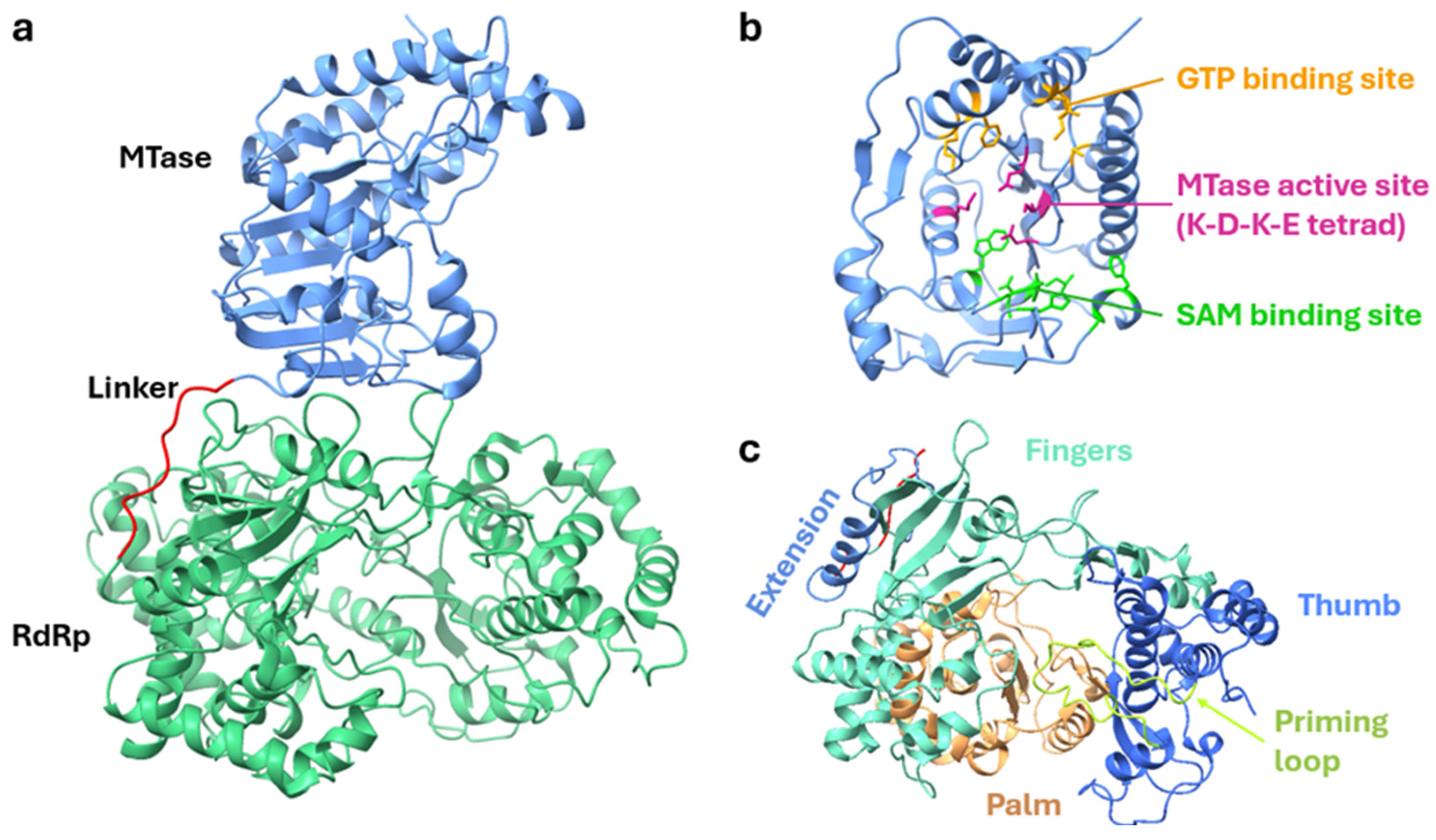 Vaccines 12 00865 g002 Vaccines 12 00865 g002