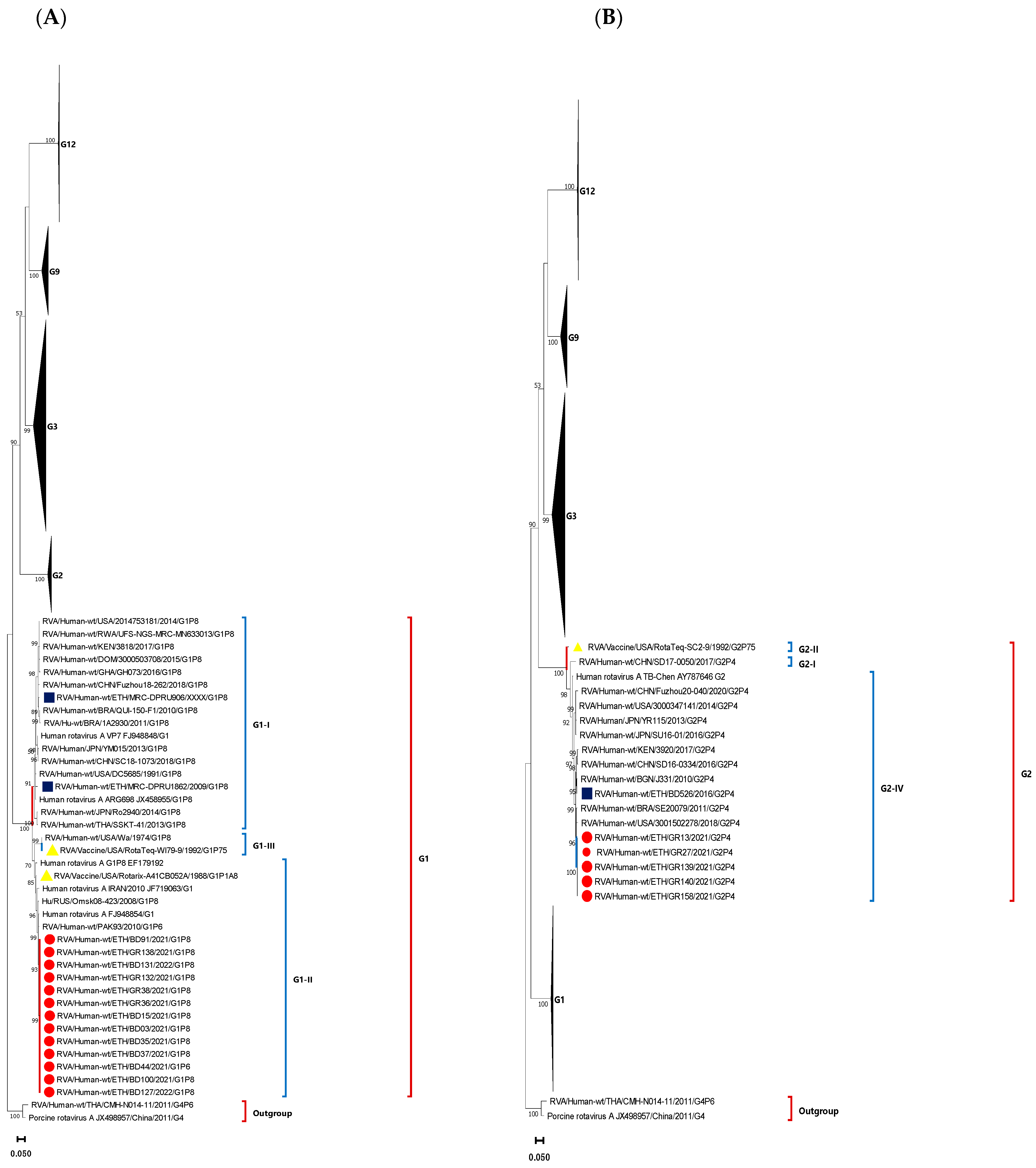Vaccines 12 00866 g006a