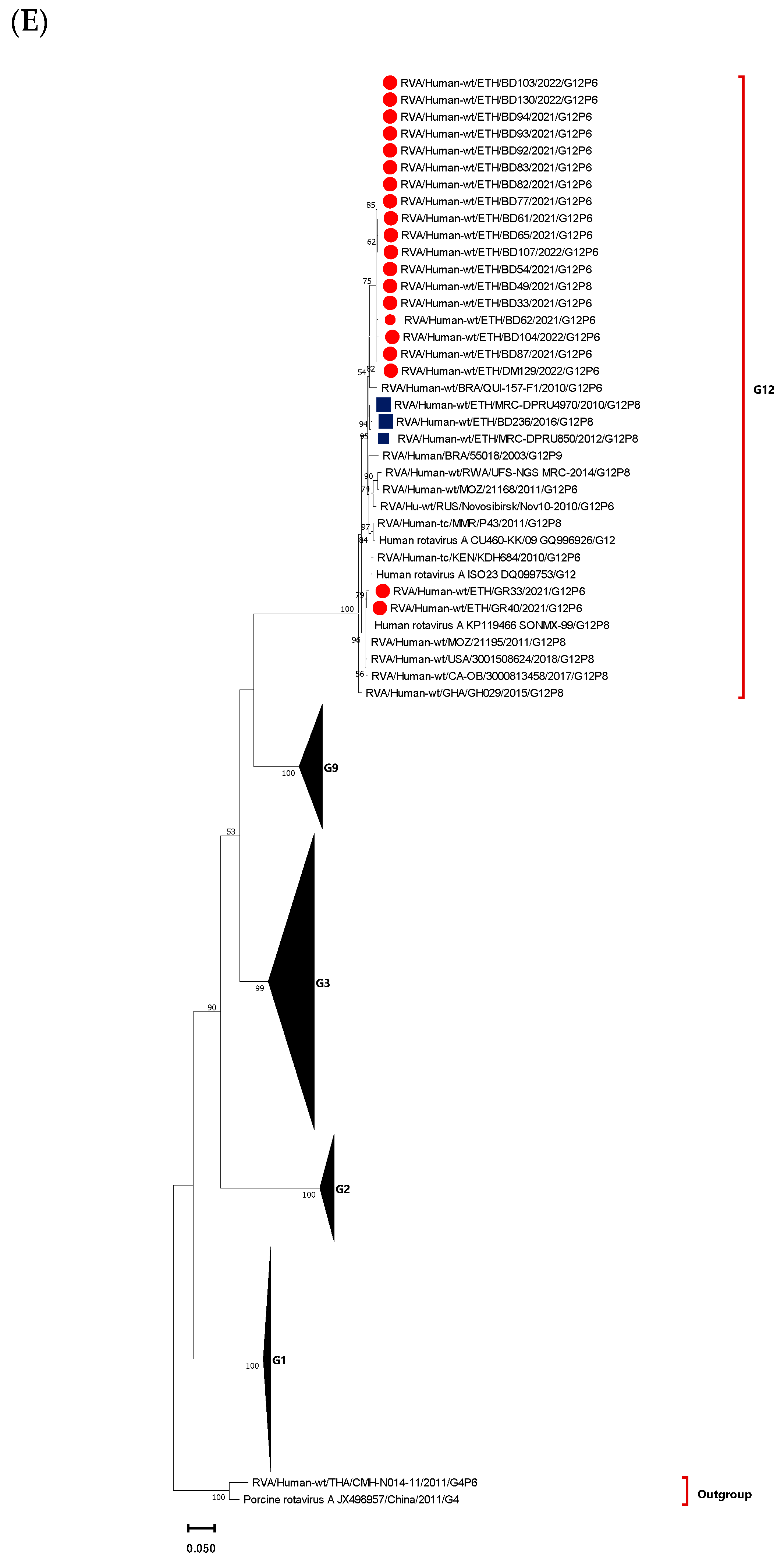 Vaccines 12 00866 g006c