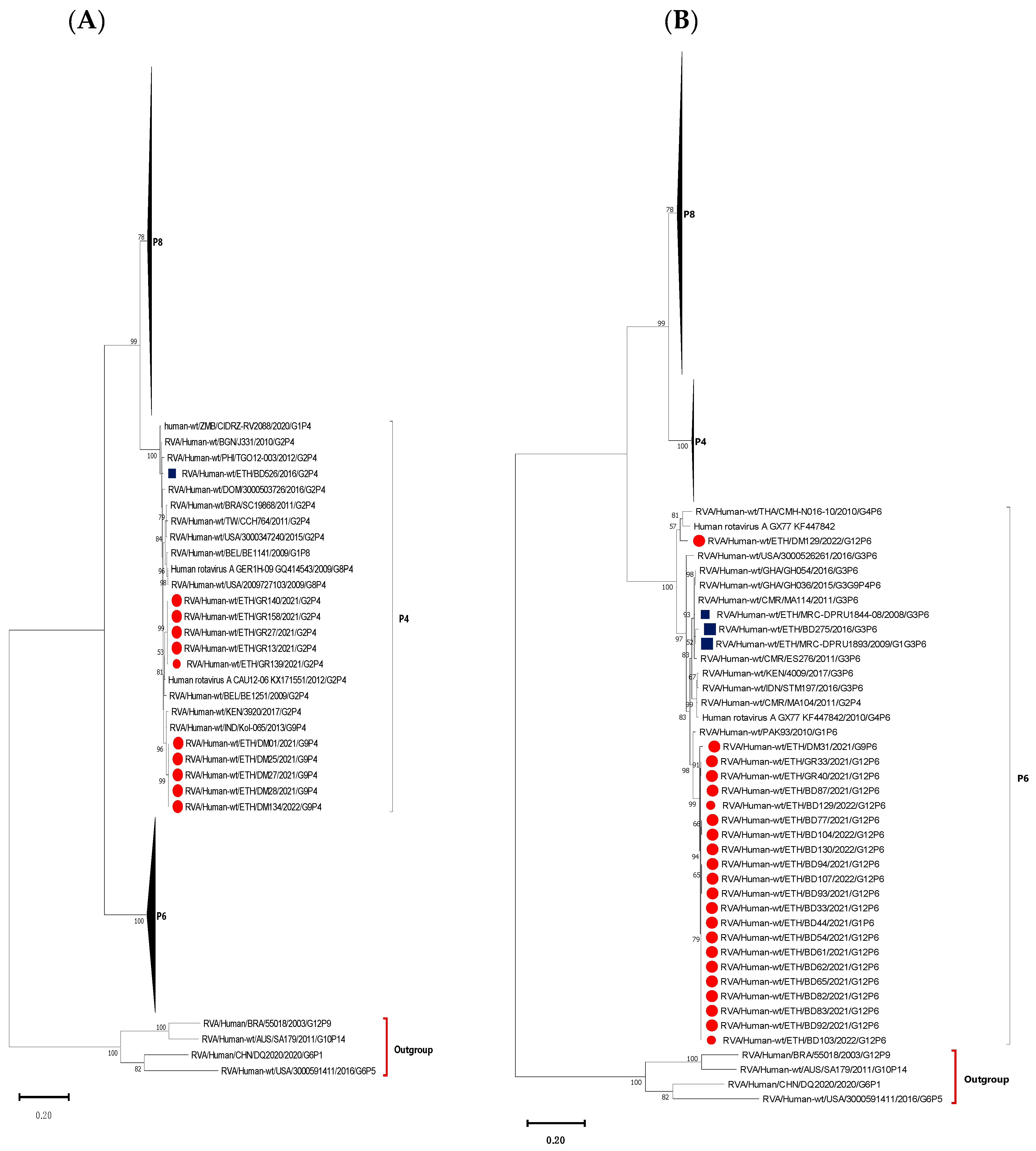 Vaccines 12 00866 g007a