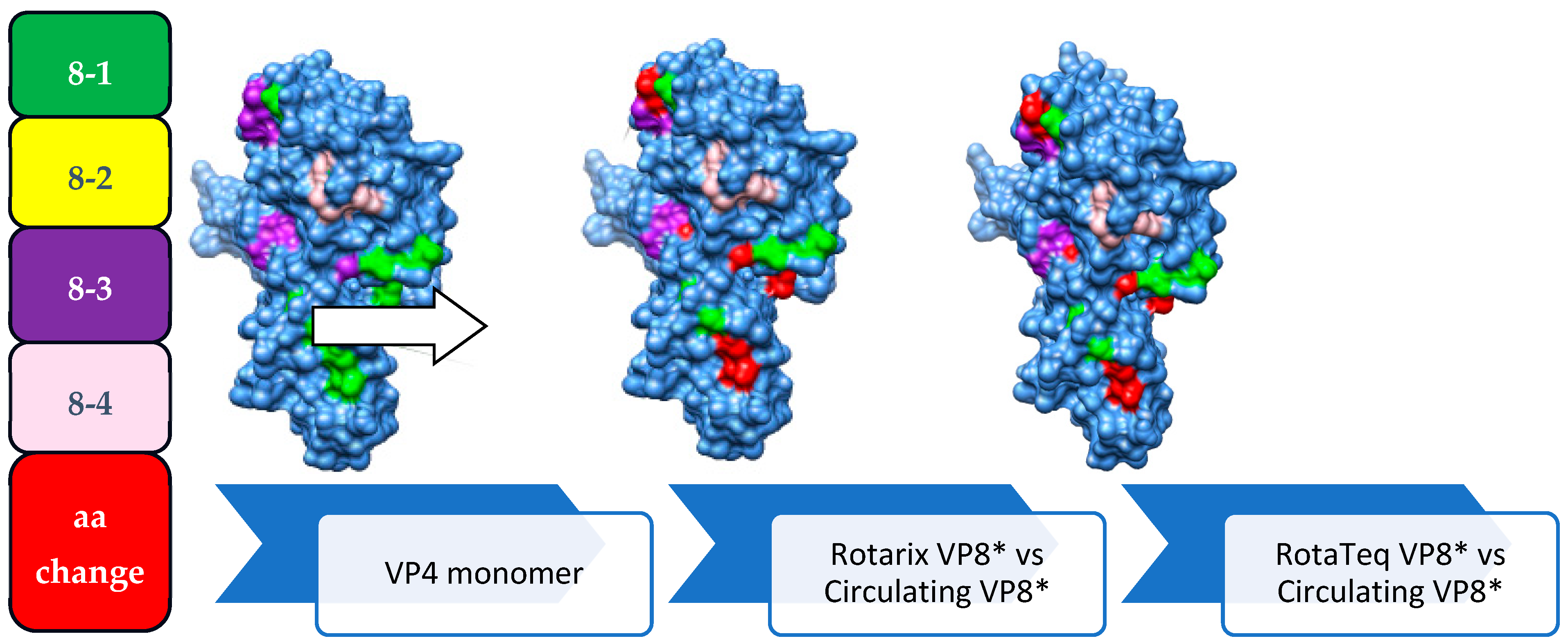 Vaccines 12 00866 g009