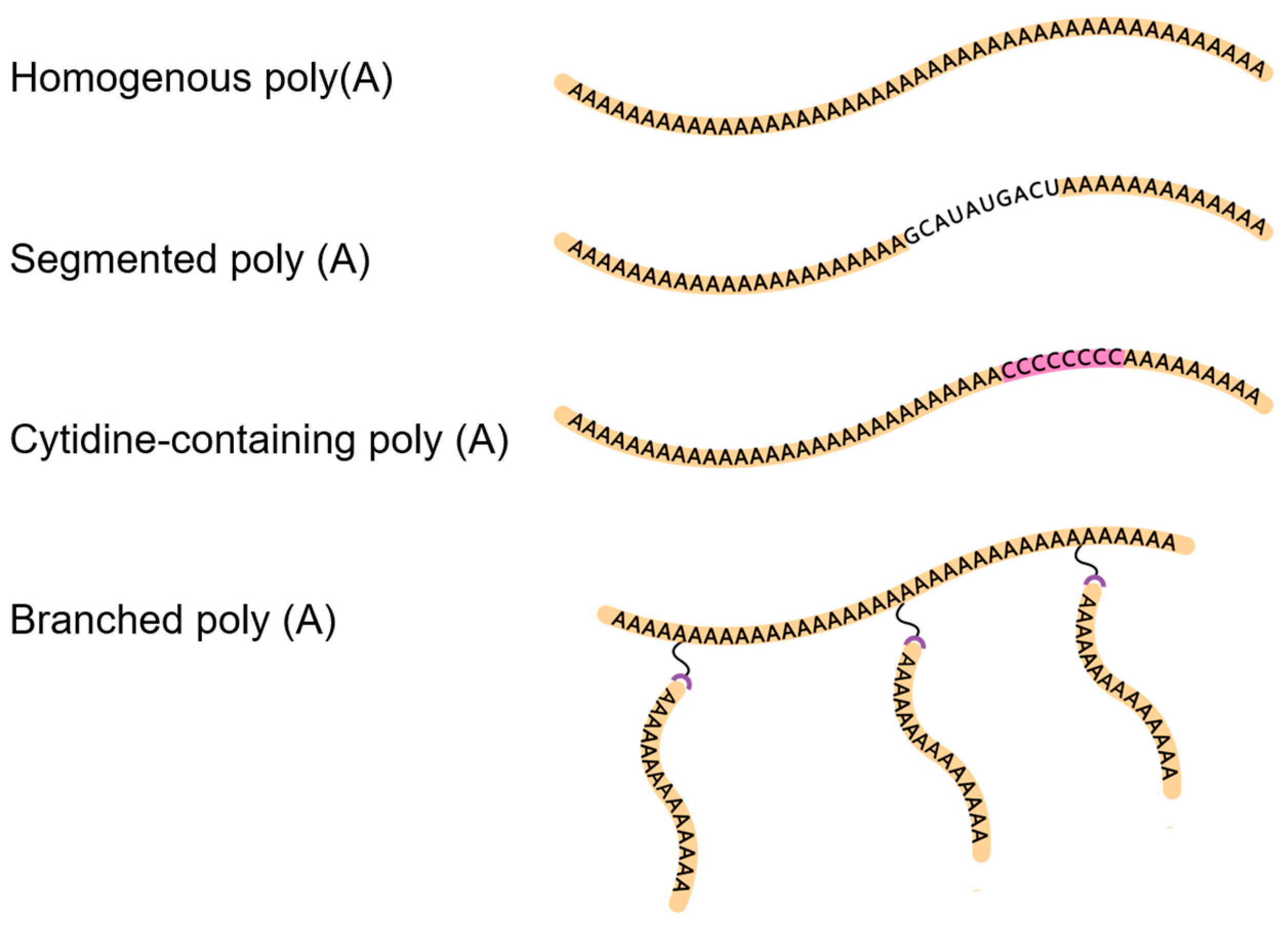 Vaccines 12 00873 g001