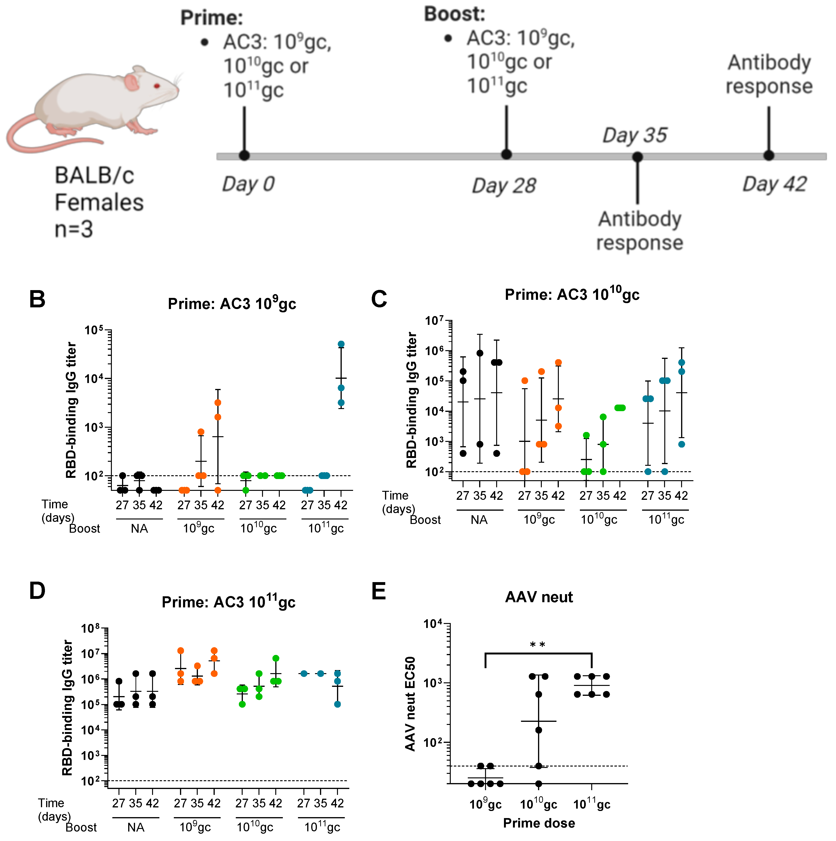 Vaccines 12 00882 g001