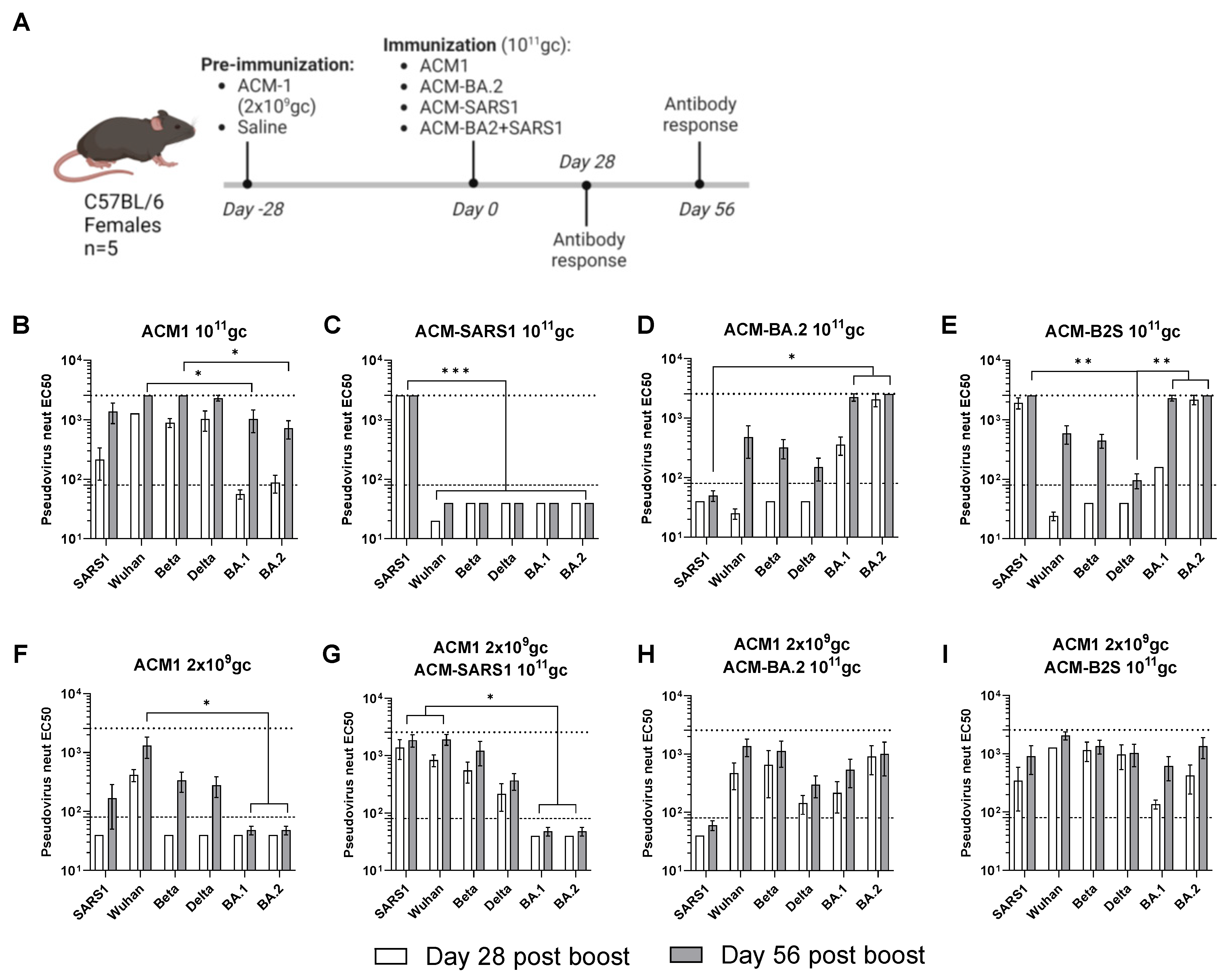 Vaccines 12 00882 g002
