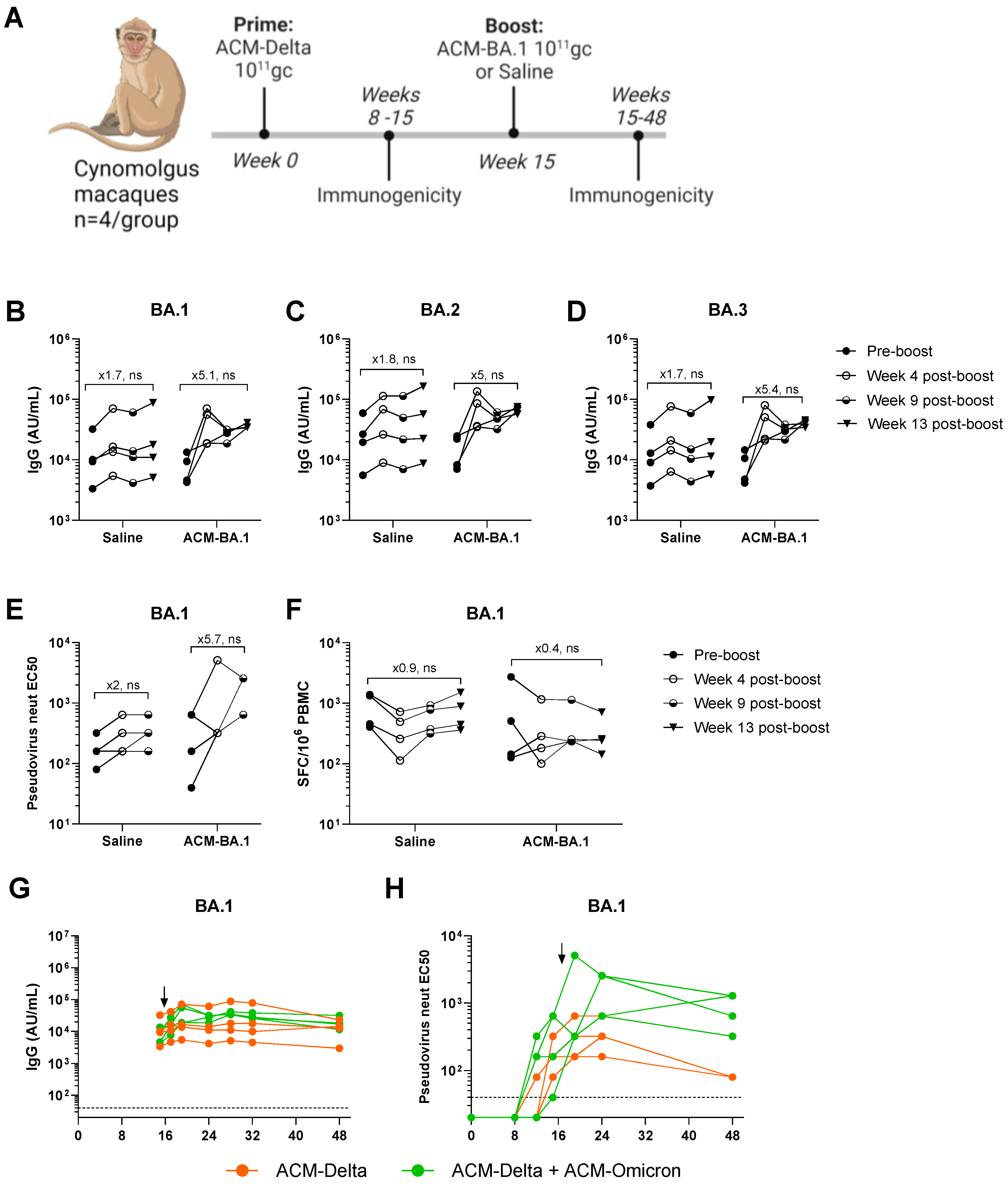 Vaccines 12 00882 g003