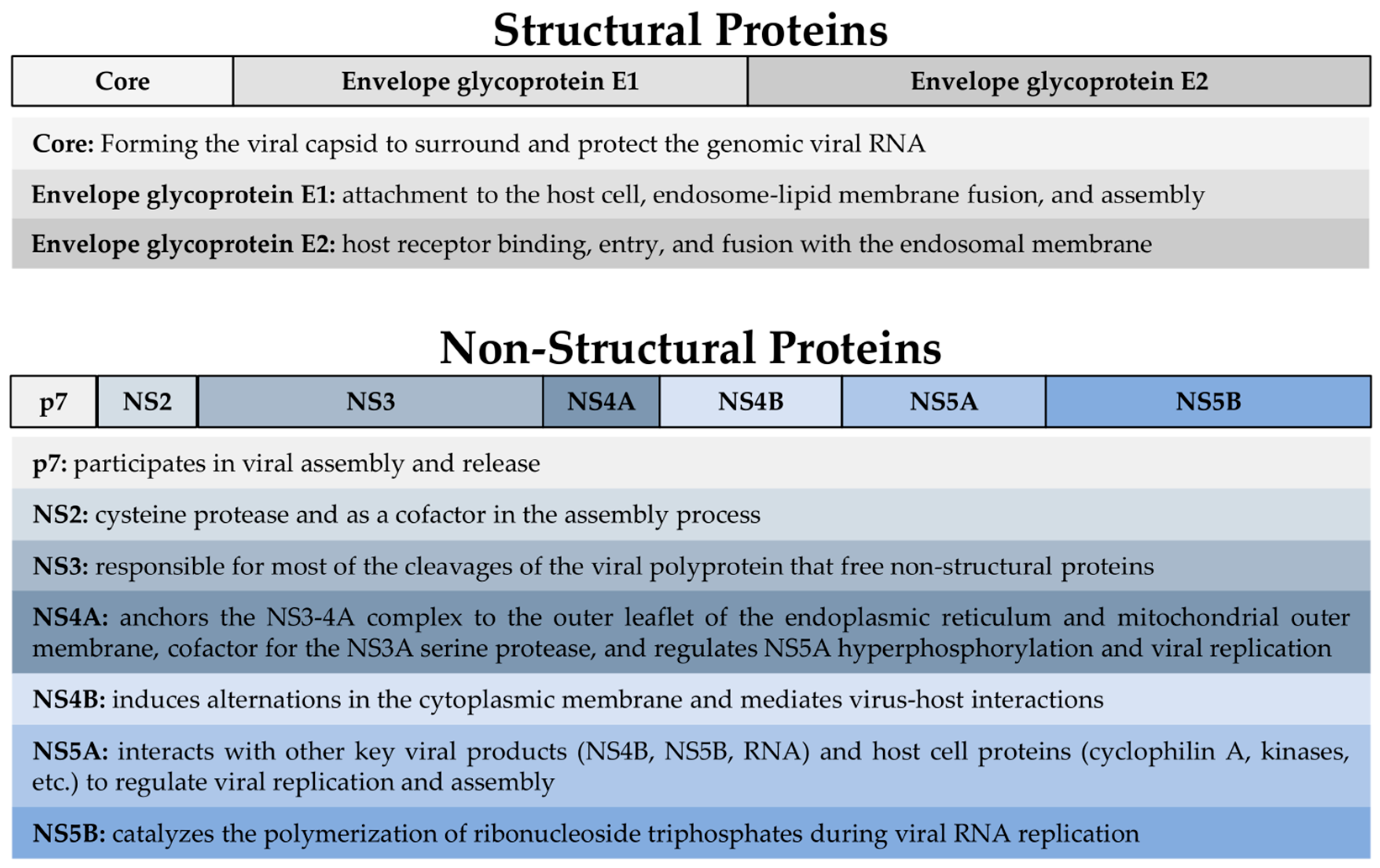 Vaccines 12 00890 g001