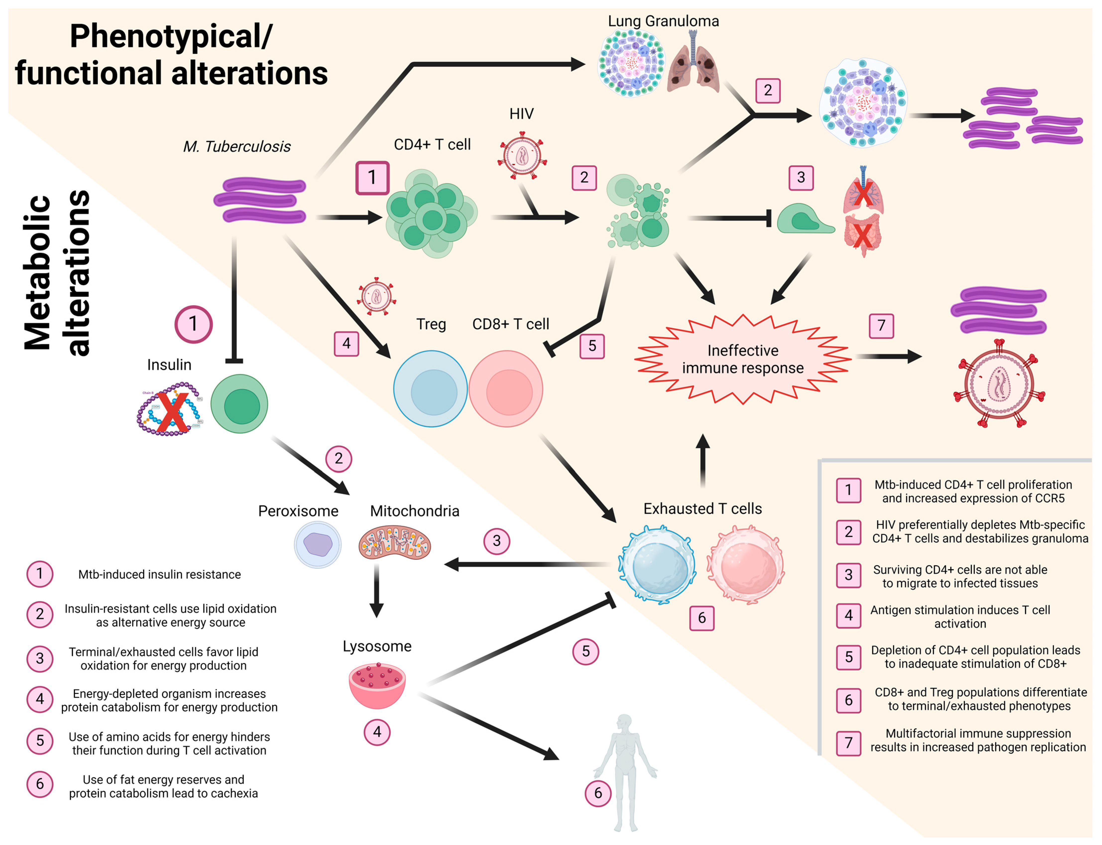 Vaccines 12 00901 g002