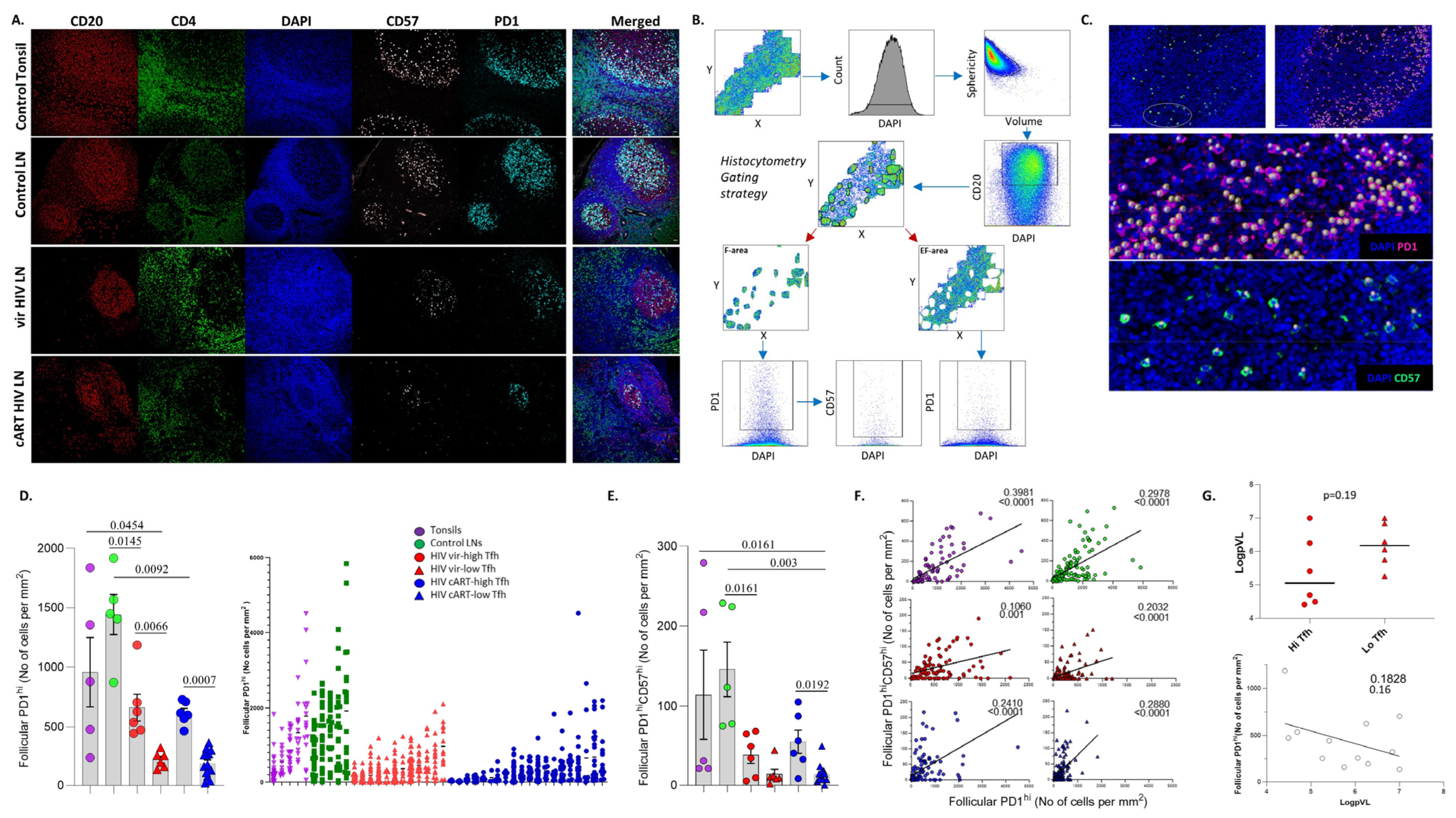 Vaccines 12 00912 g001
