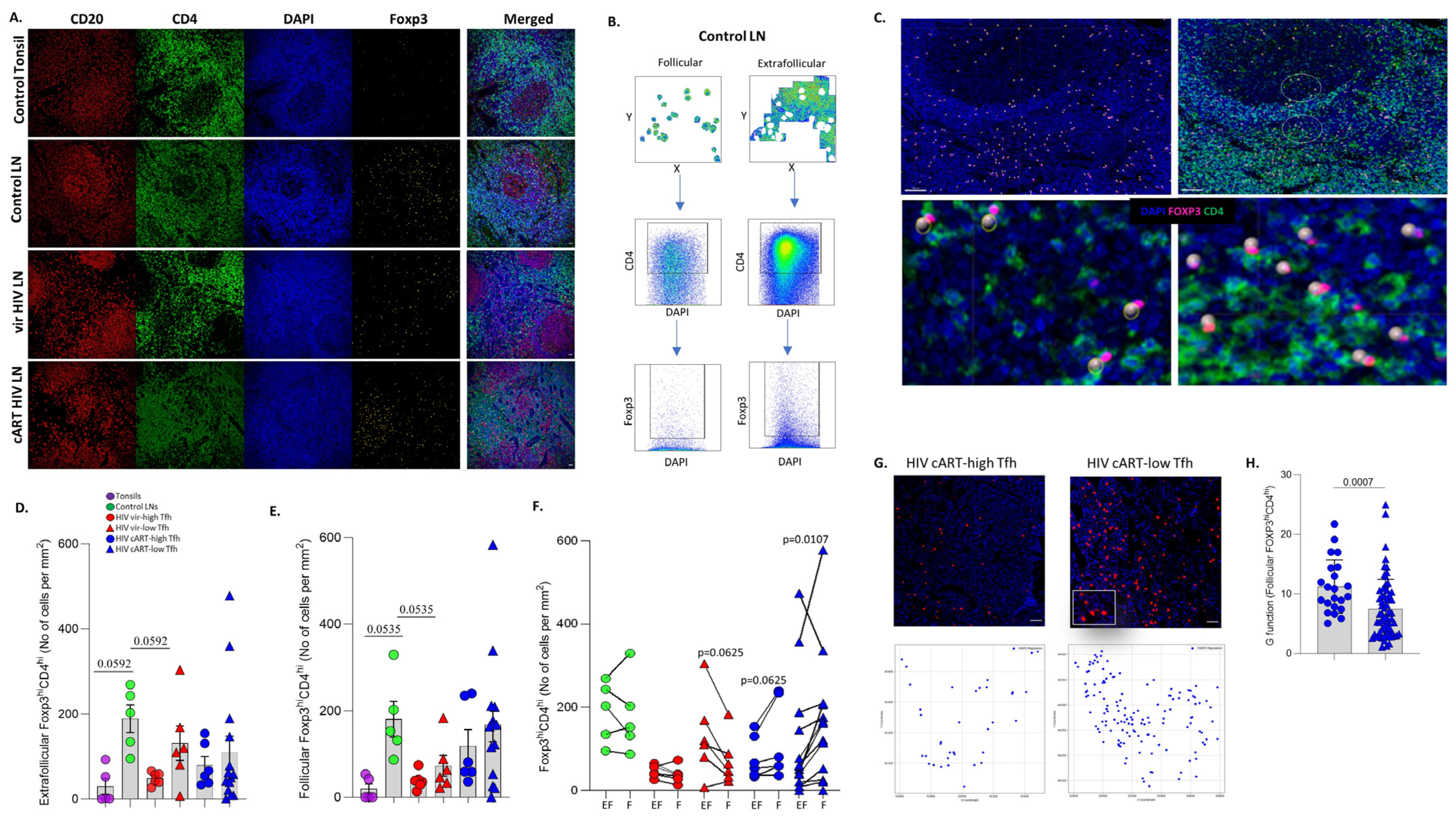 Vaccines 12 00912 g003