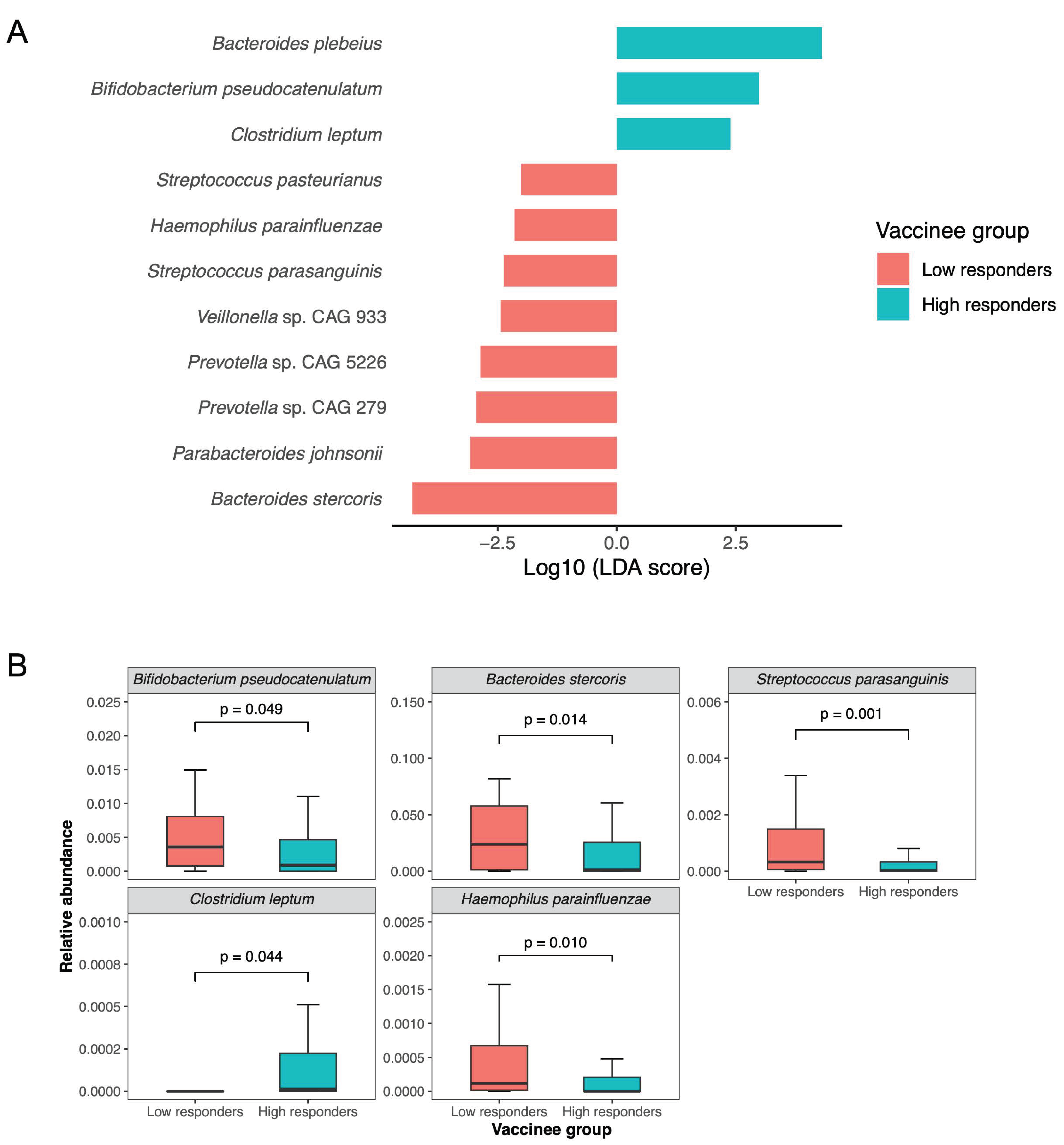 Vaccines 12 00916 g001