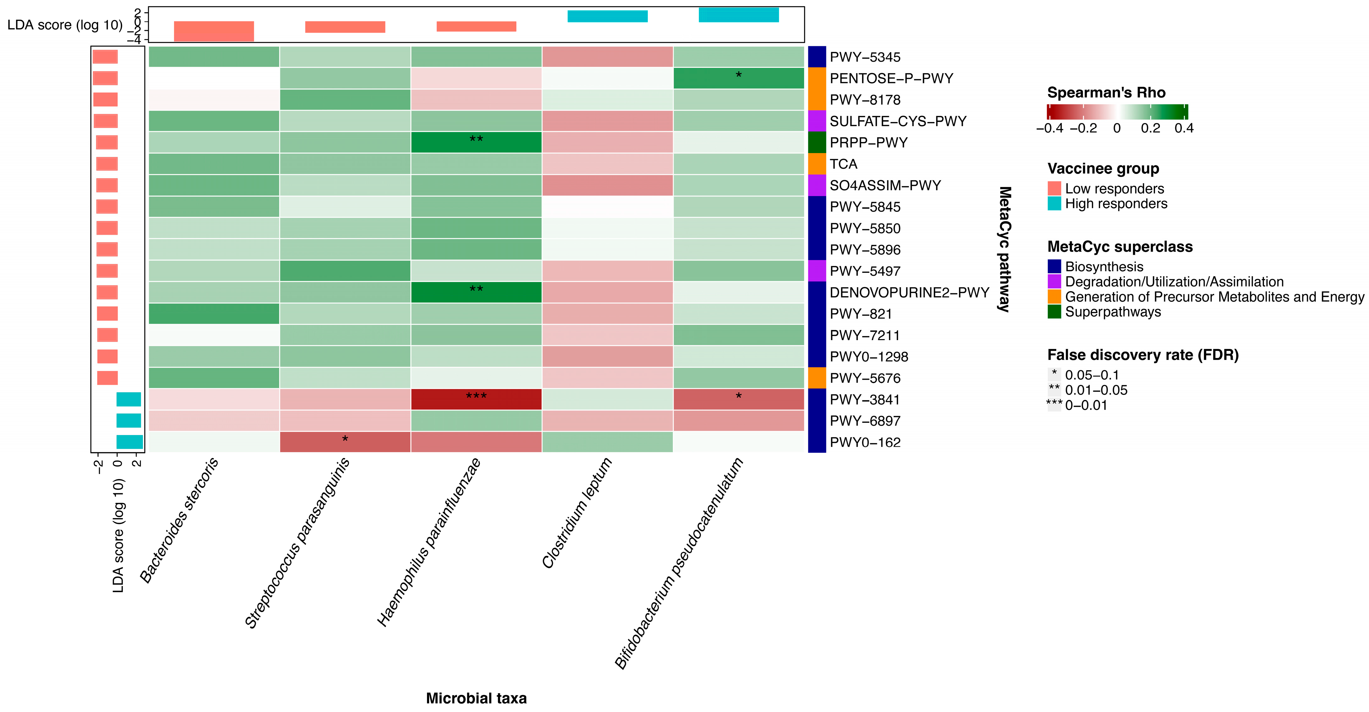 Vaccines 12 00916 g002