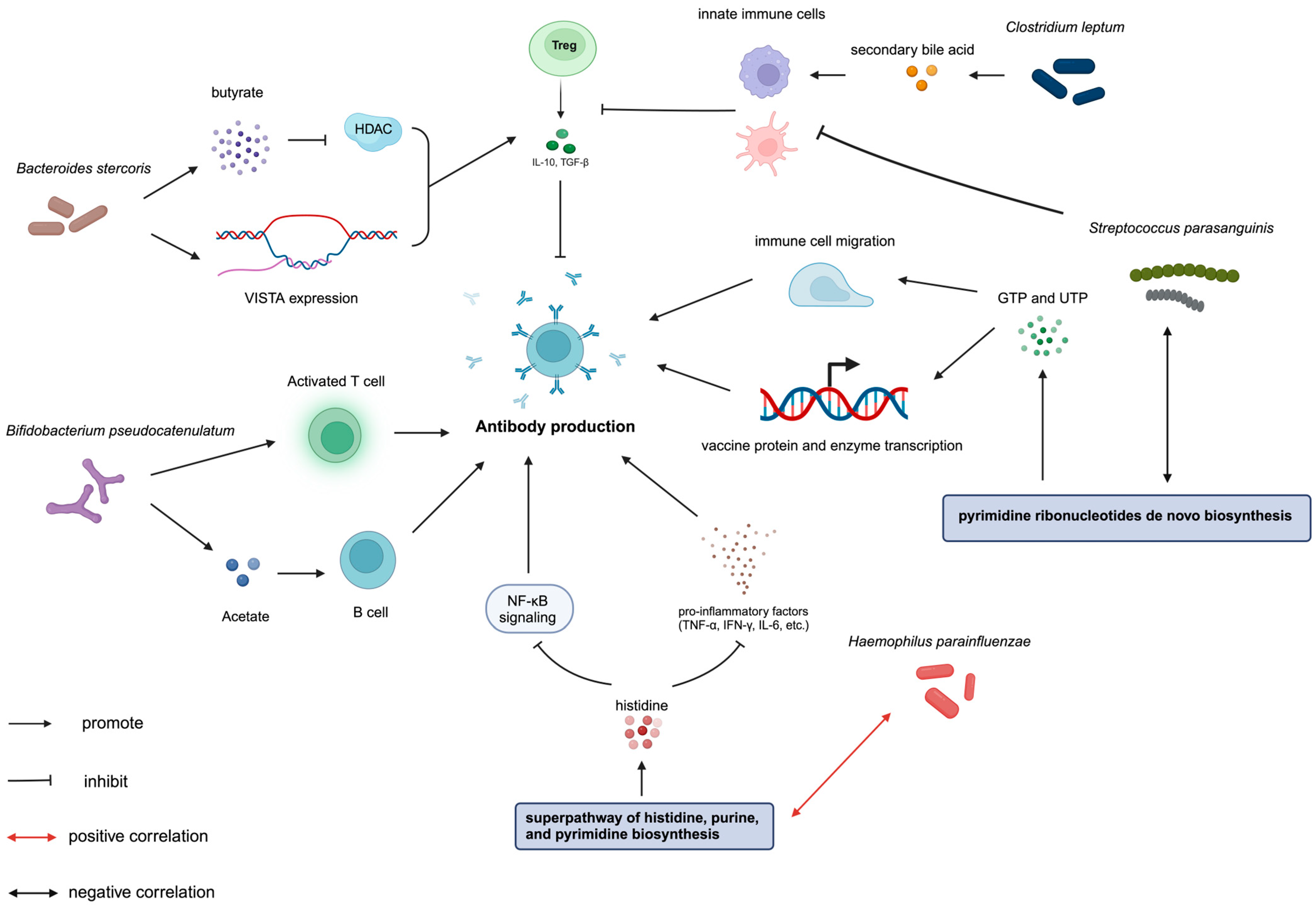 Vaccines 12 00916 g003