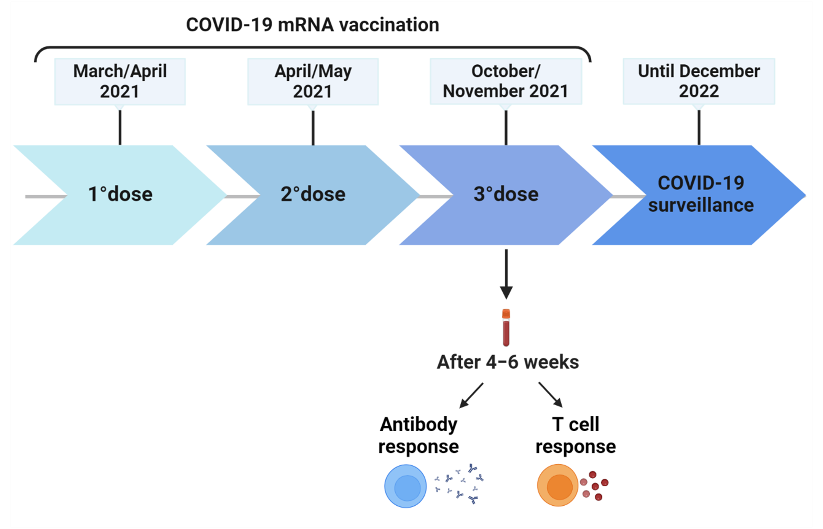 Vaccines 12 00926 g001