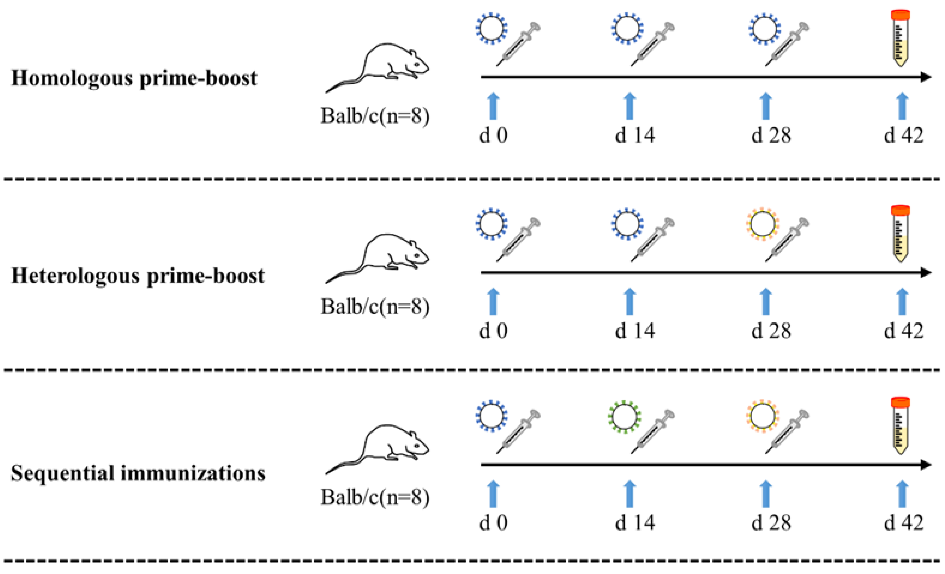 Vaccines 12 00927 g001