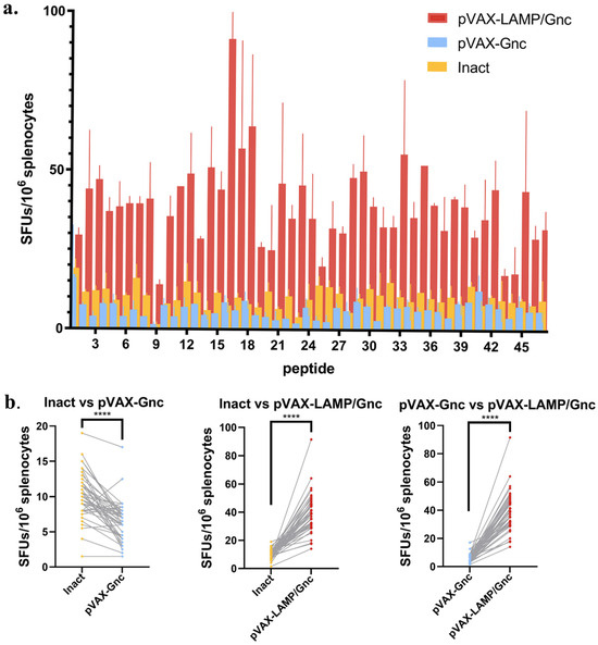 ポ DNA Vaccines Encoding HTNV GP-Derived Th Epitopes Benefited