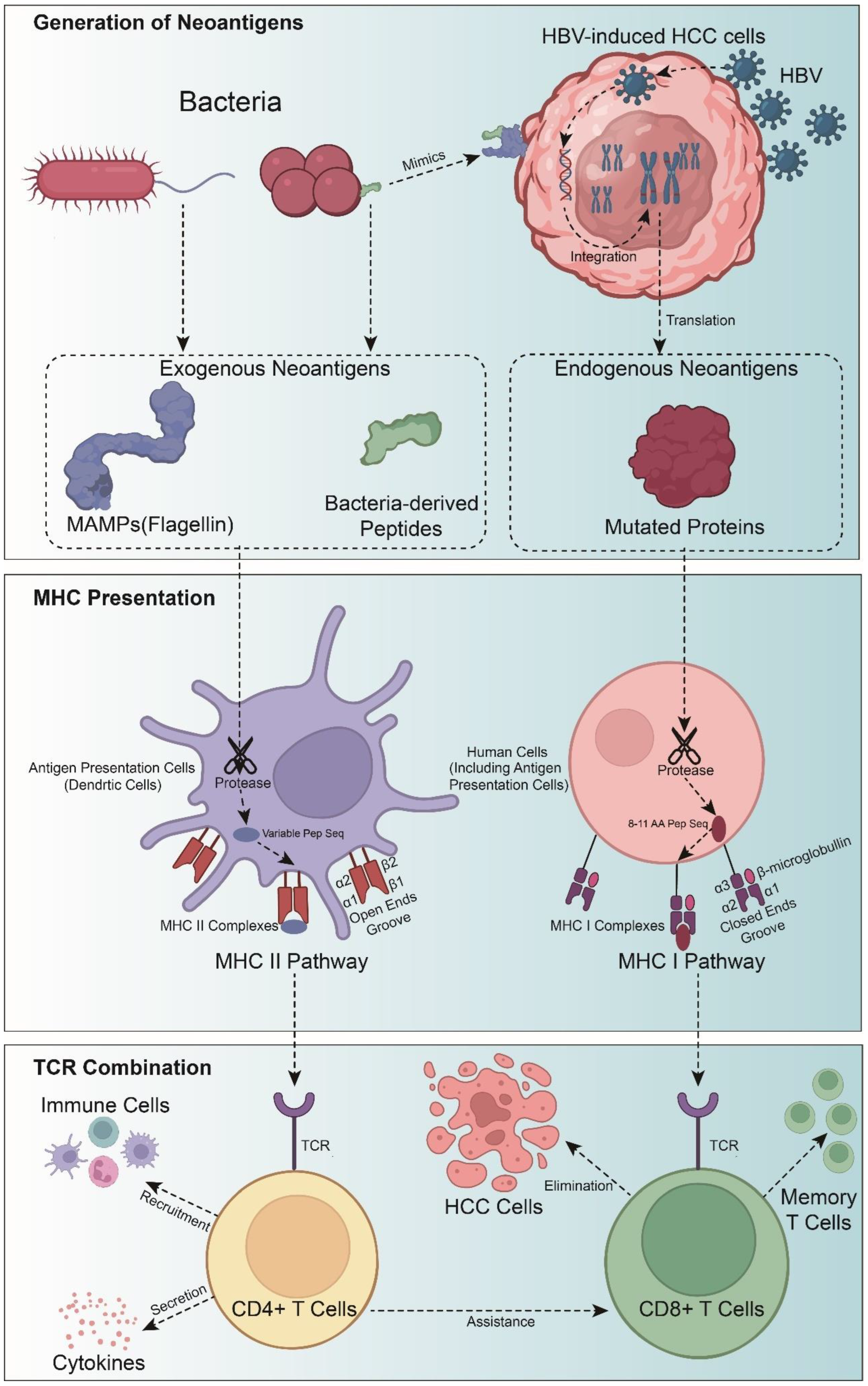 Vaccines 12 00930 g001