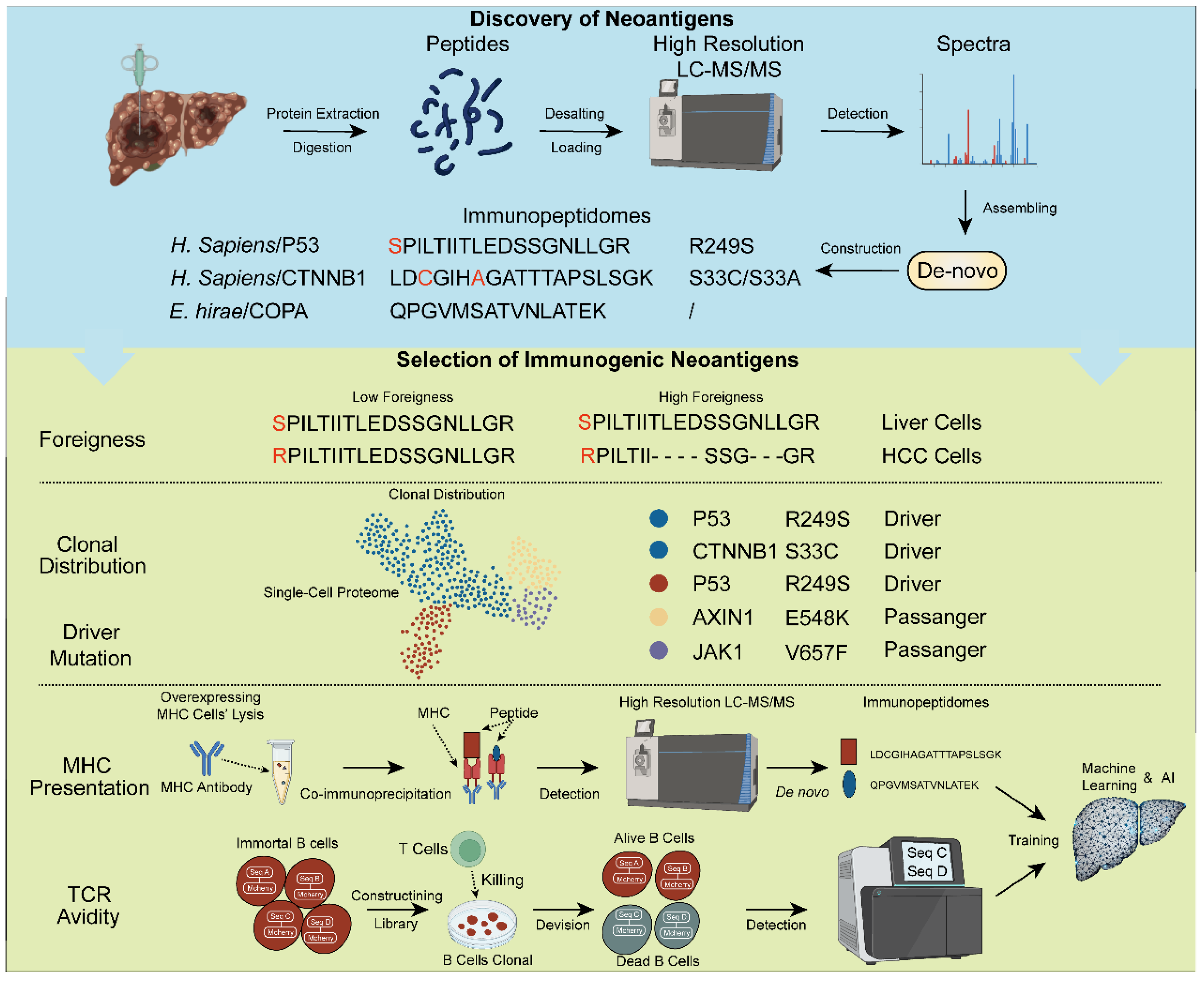 Vaccines 12 00930 g002