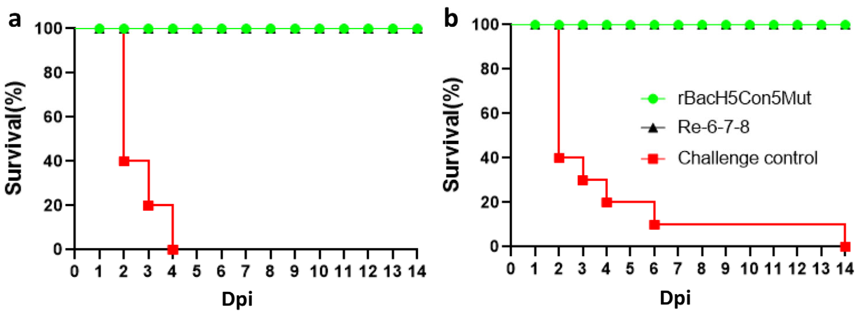 Vaccines 12 00932 g004 Vaccines 12 00932 g004